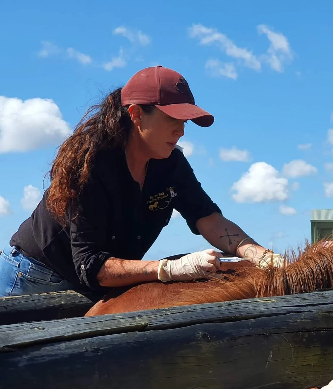 Jen with microchip and difficult horse.jpg