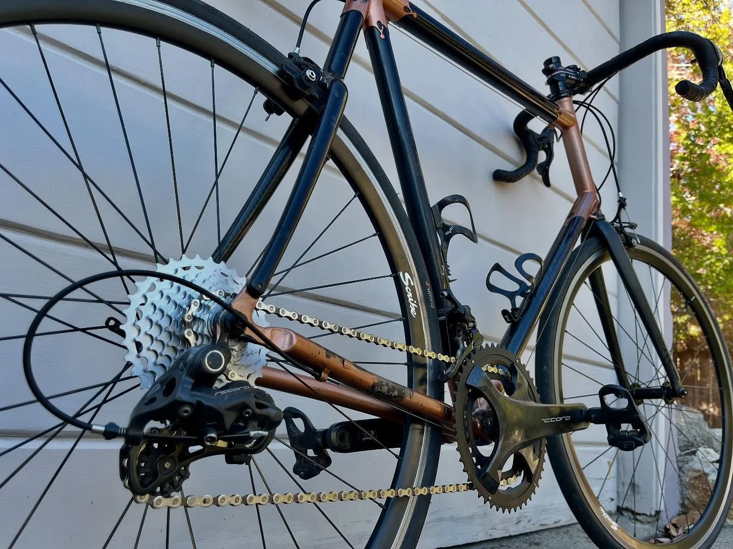 High Mileage: ALL new drivetrain and cables for this Campagnolo equipped Independent Fabrication road bike. After 12k miles of riding the chain was stretched and the gear teeth were finally showing signs of scalloping. The shifter hoods were also wor