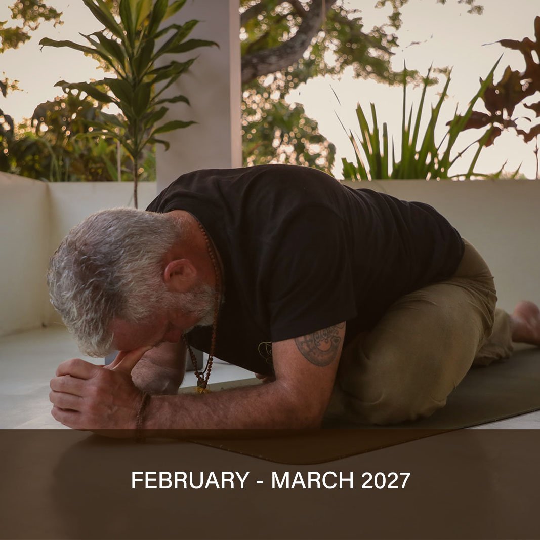100 HR Yin Yoga Teacher Training - Salt Yoga