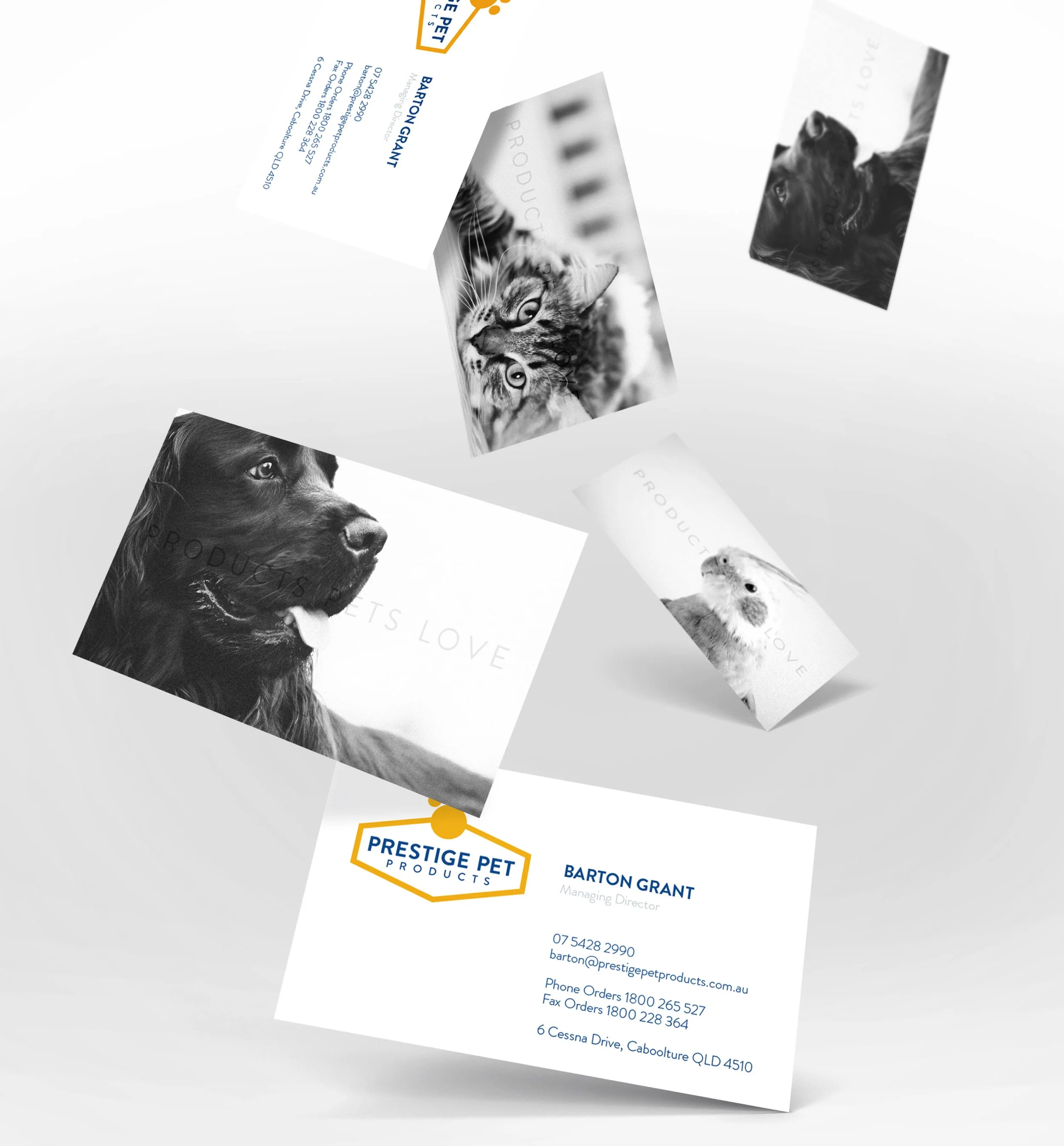jagger-unlimited-design-subscription-prestige-pet-business-cards.jpg