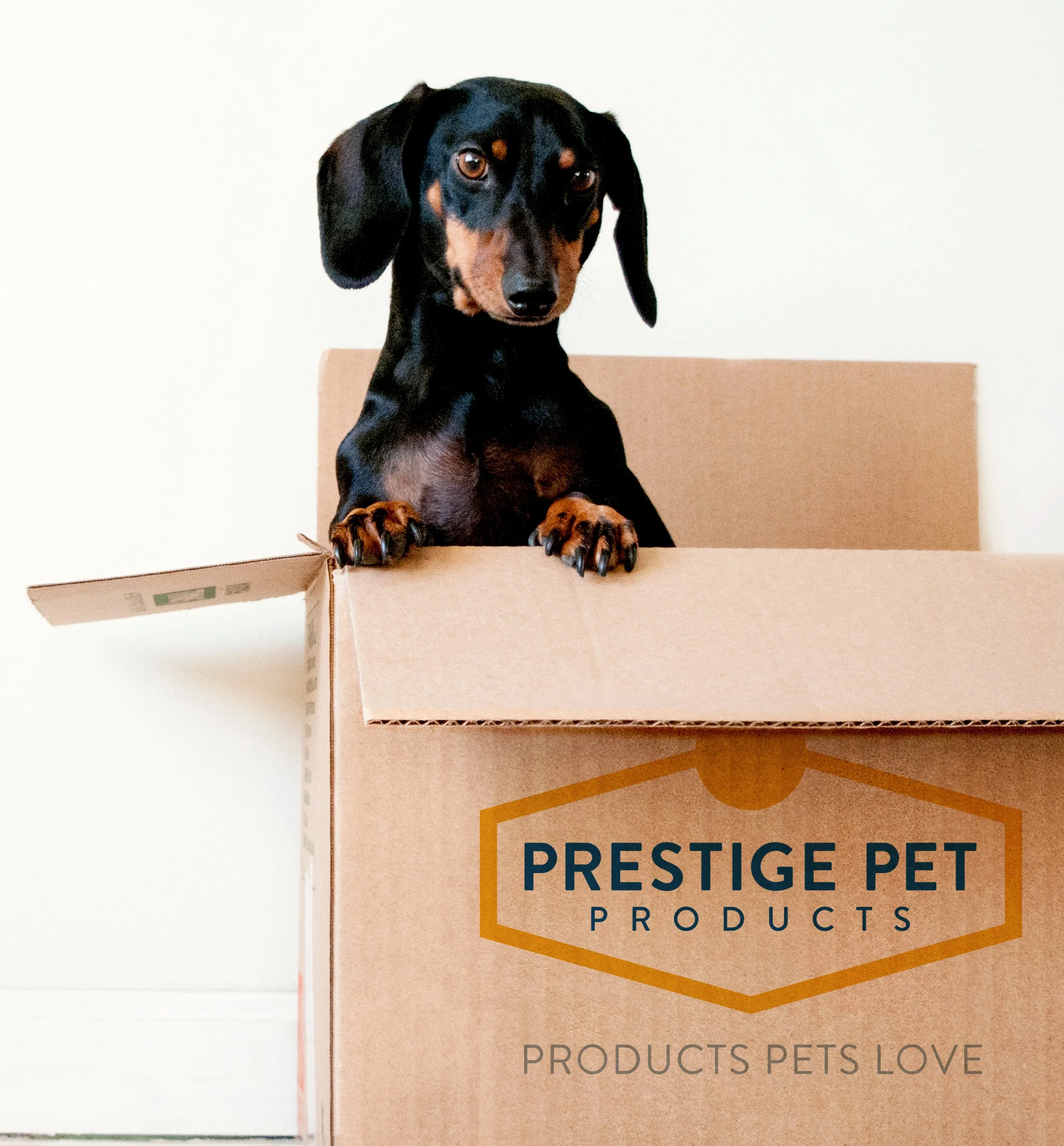 jagger-unlimited-design-subscription-prestige-pet-packaging.jpg