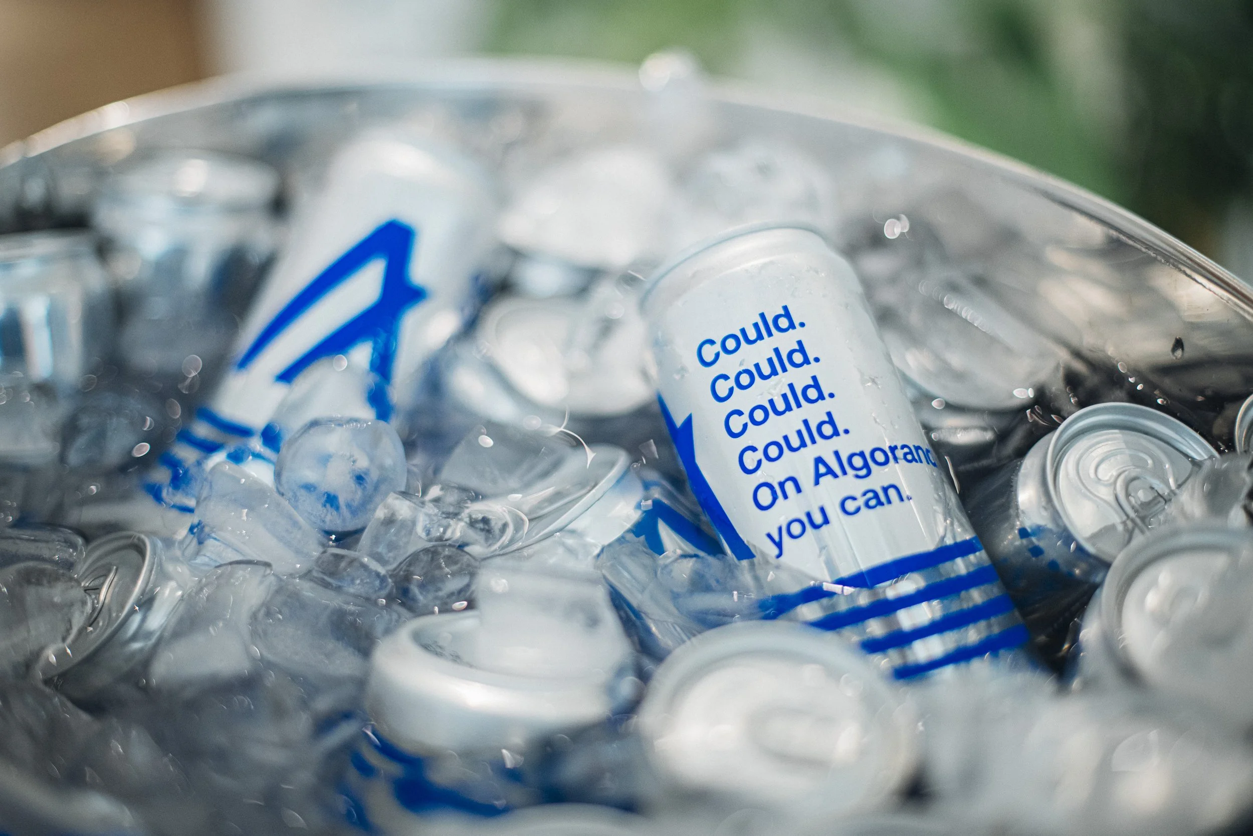 Algorand Cannes-26.jpg