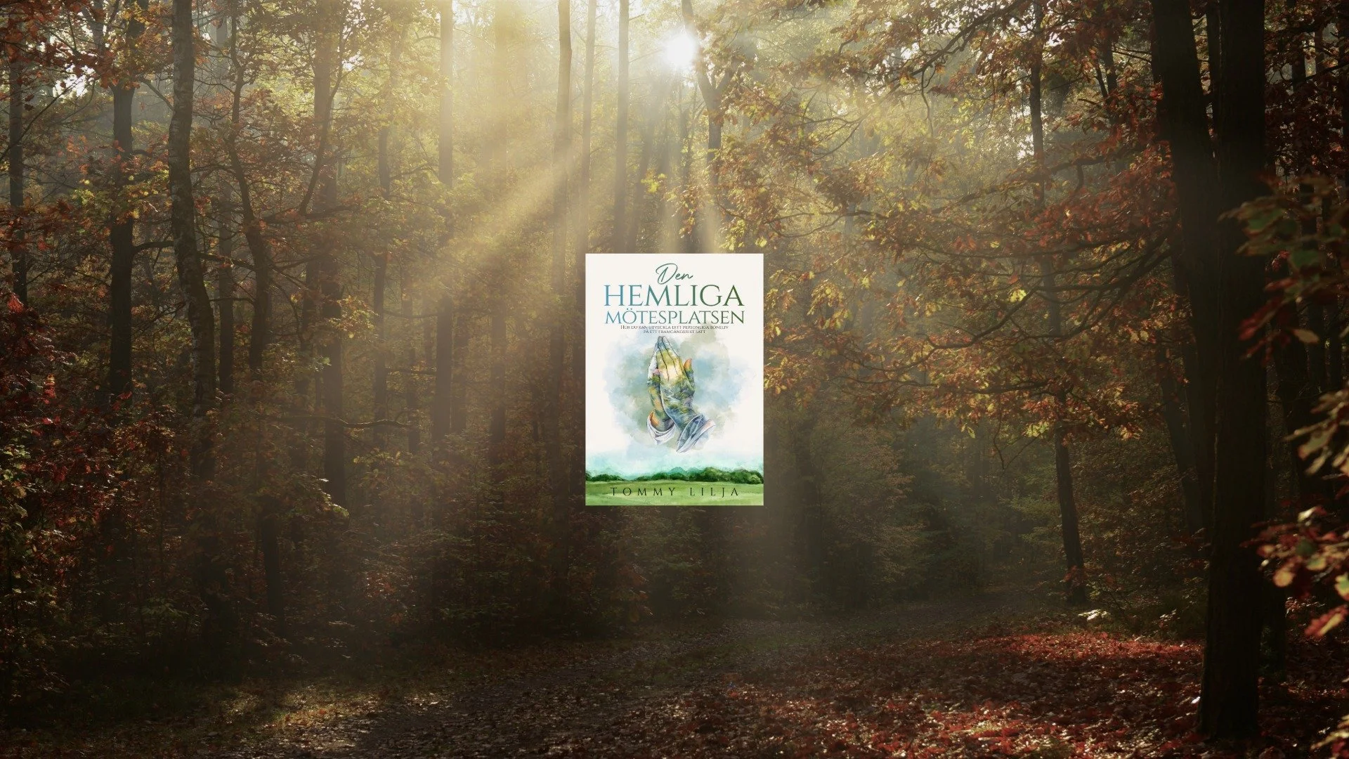 THN Pred-12-Mötesplatsen 4.jpeg