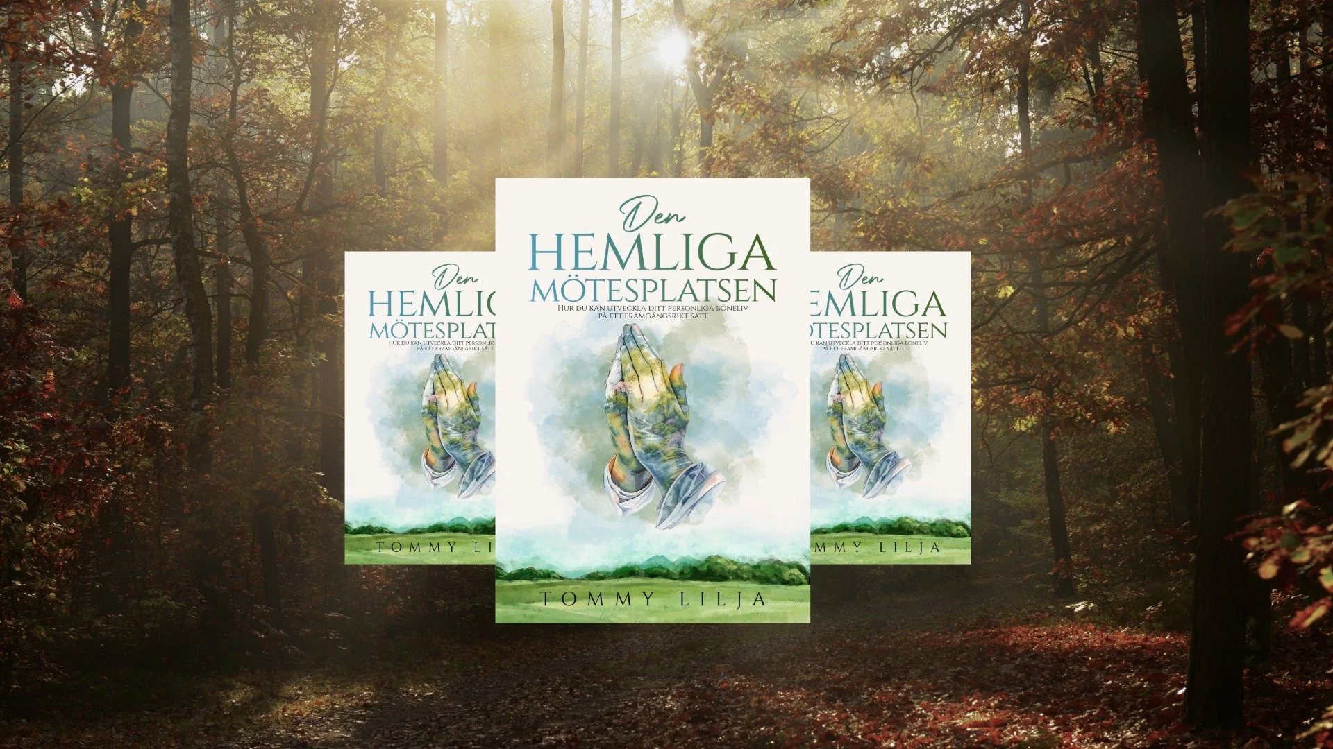 THN Pred-11-Mötesplatsen 3.jpeg