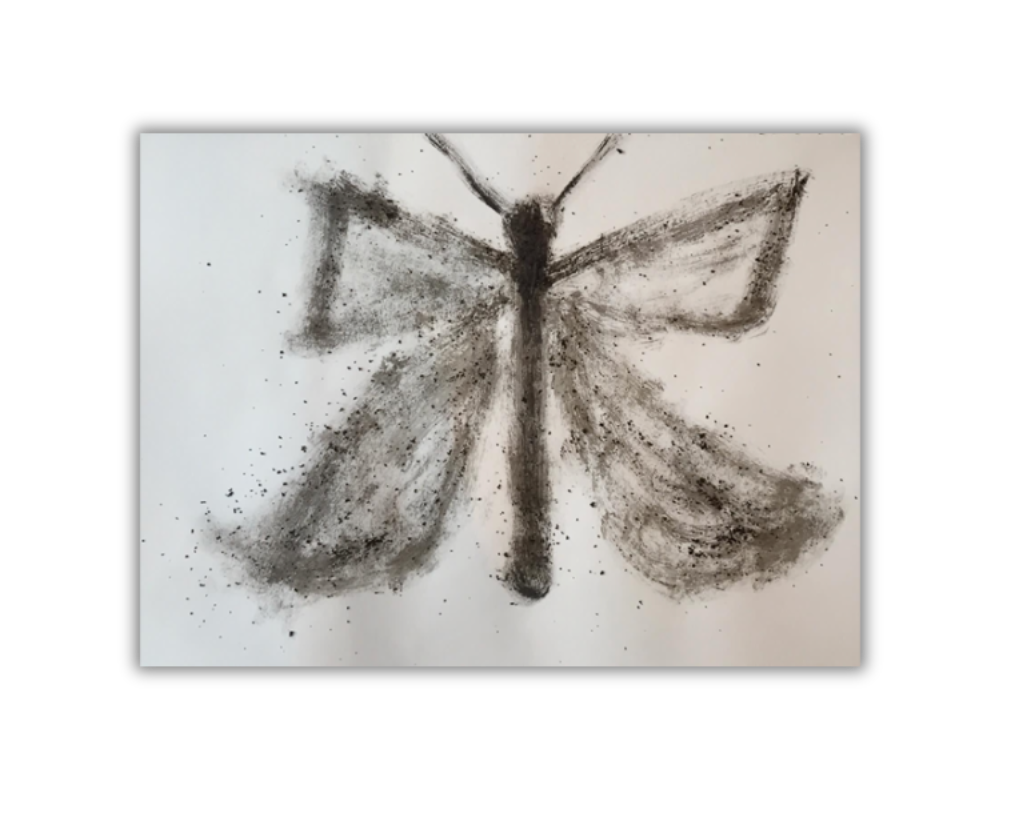 Papillon Black & White.png