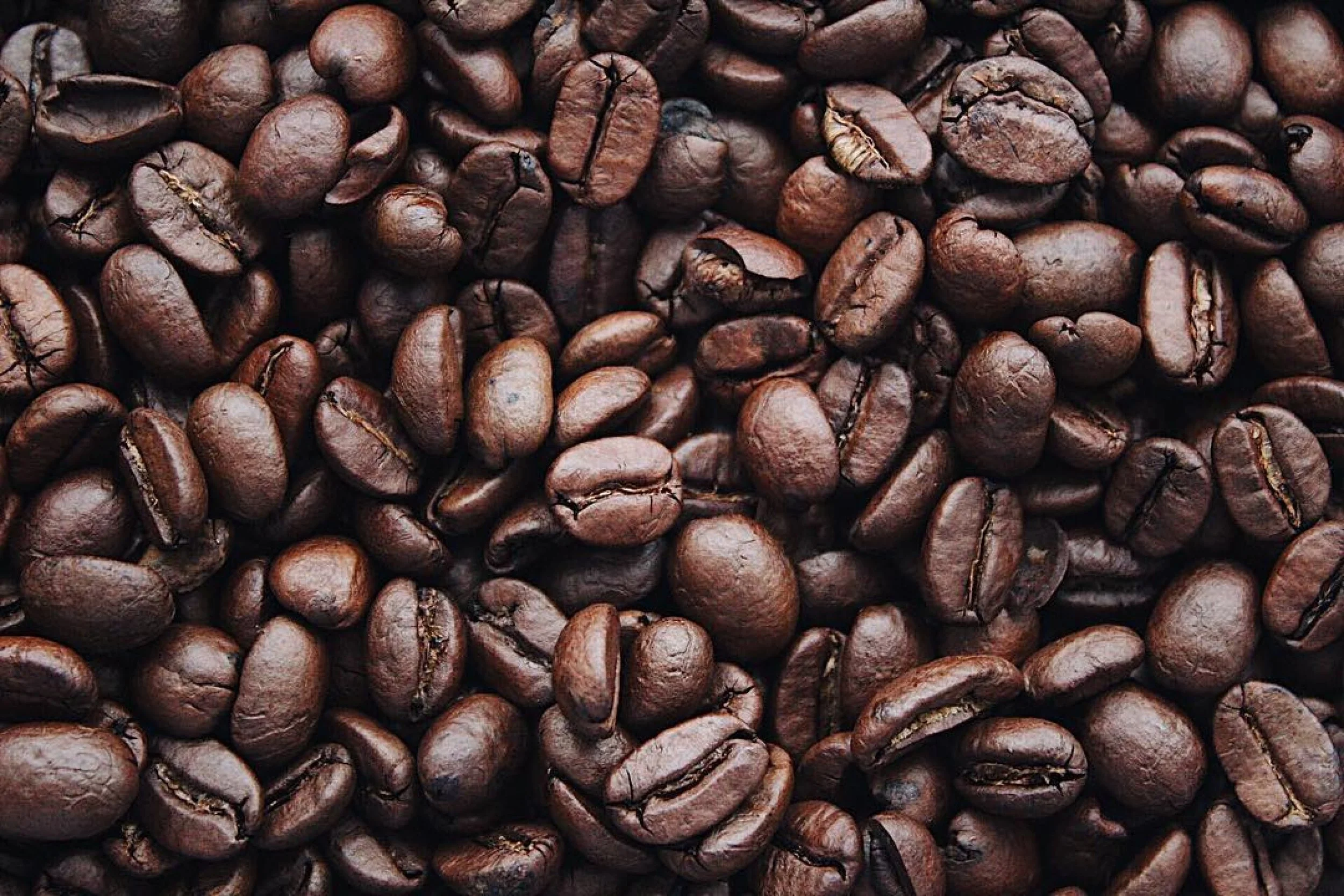 Rubbing Coffee on Your Scalp? The Buzz on Topical Caffeine for Hair Loss