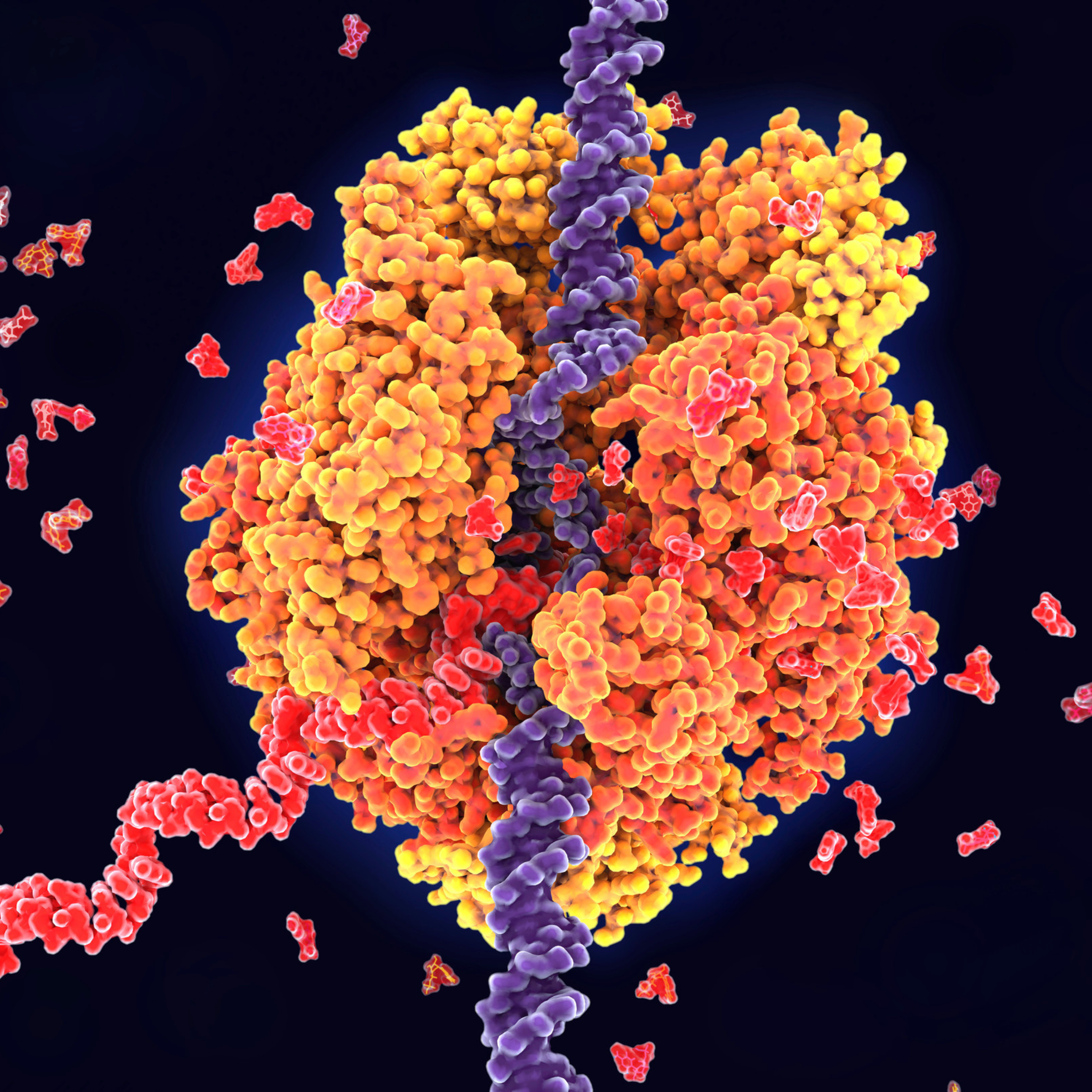 Understanding Salmon DNA Treatments in Aesthetic Medicine