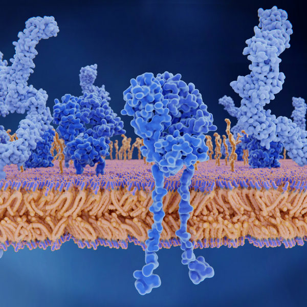 BPC-157: The Healing Peptide Athletes Don't Want You to Know They're Using