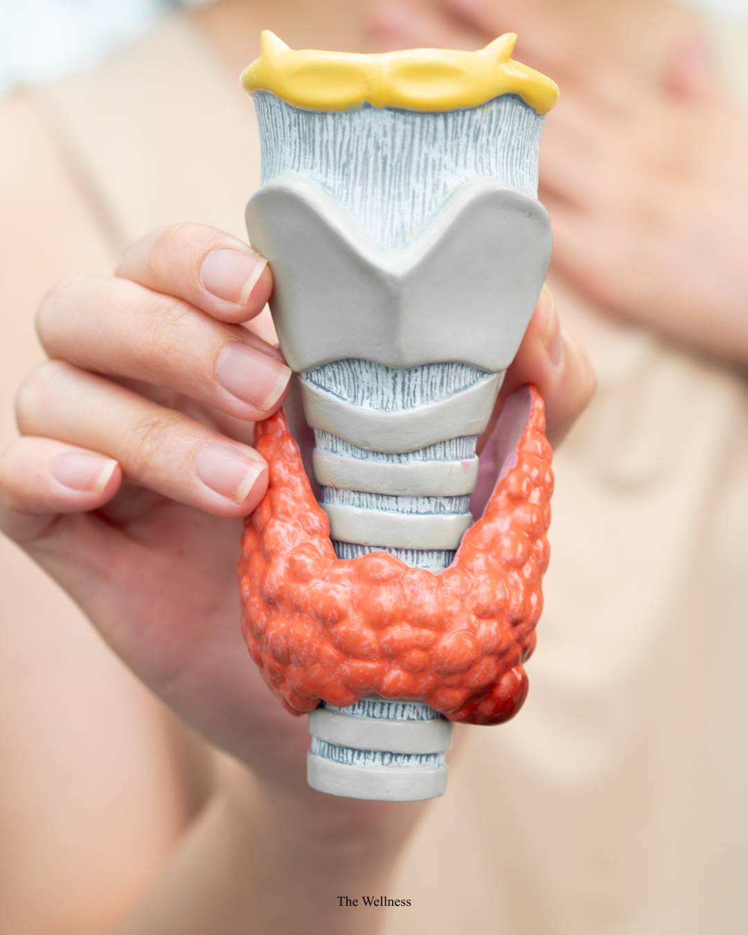 Thyroid and Hair Loss: Why Your Thyroid May Be Behind Your Thinning — and How to Fix It