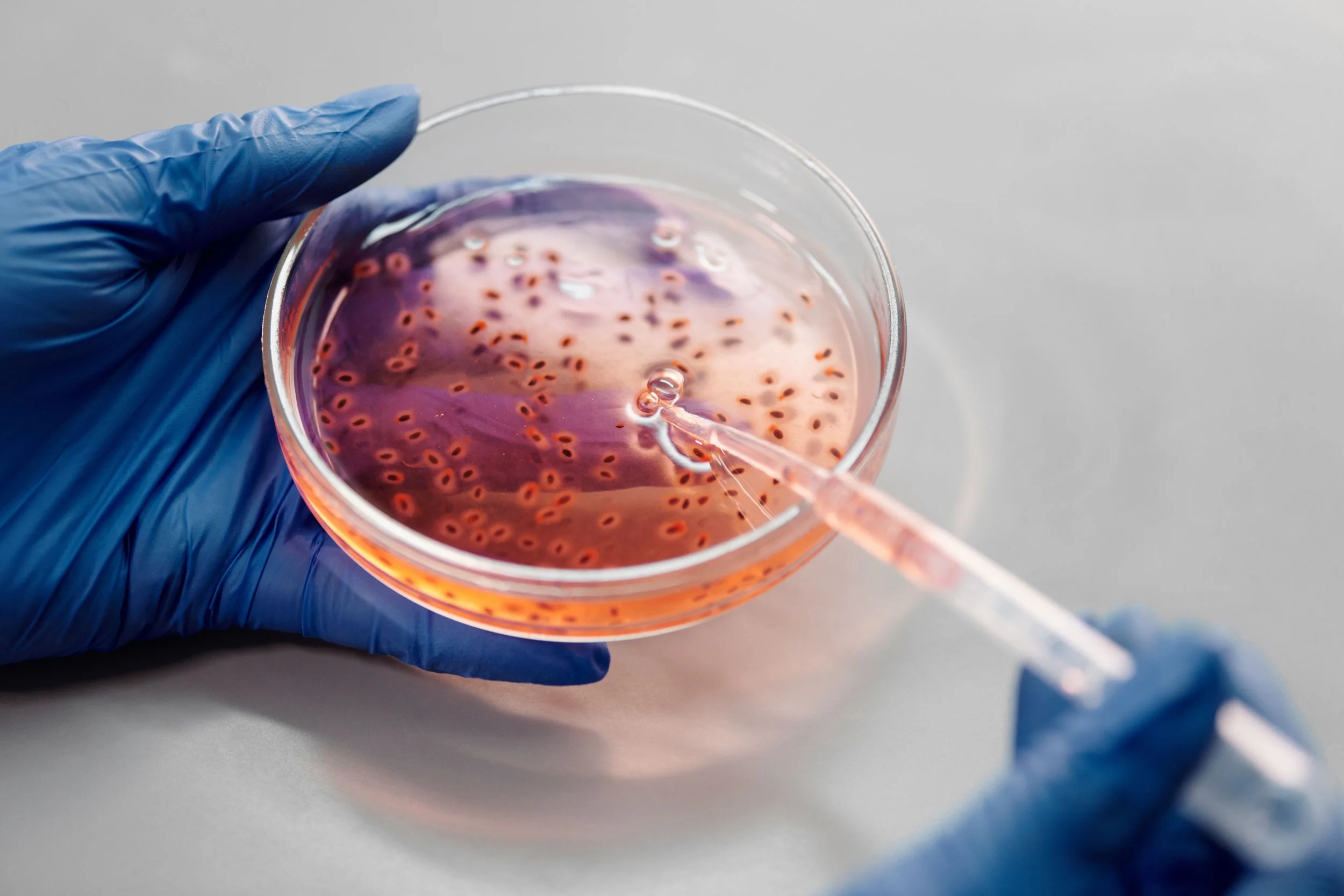 Exosomes For Hair And Skin. What The Evidence And UK Rules Actually Say
