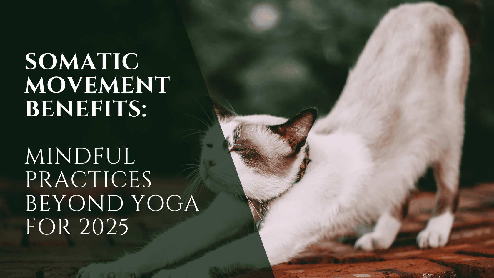 Somatic Movement Benefits: Mindful Practices Beyond Yoga for 2025