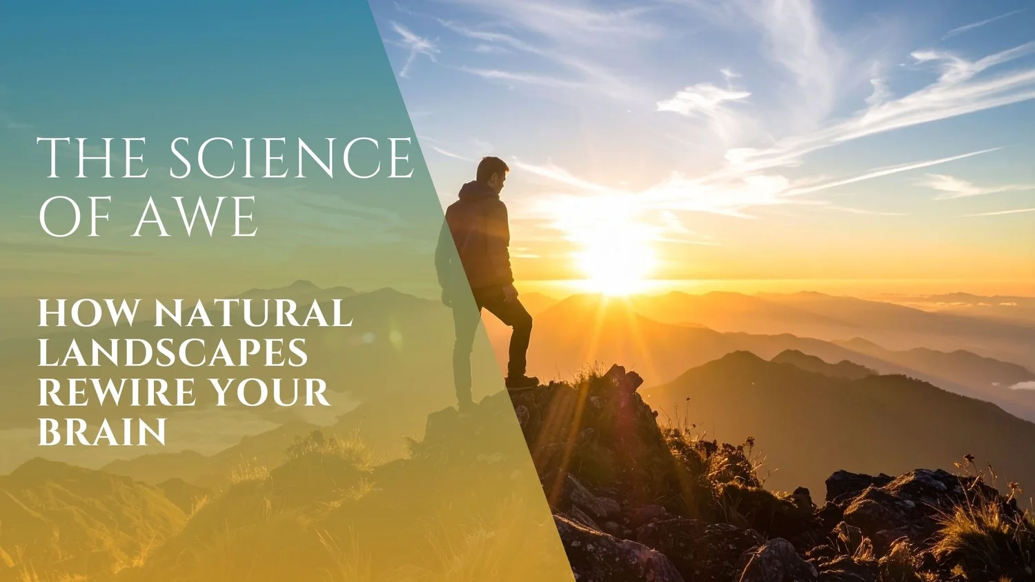 The Science of Awe… rewire your brain — Gymea Retreat Guest Experience