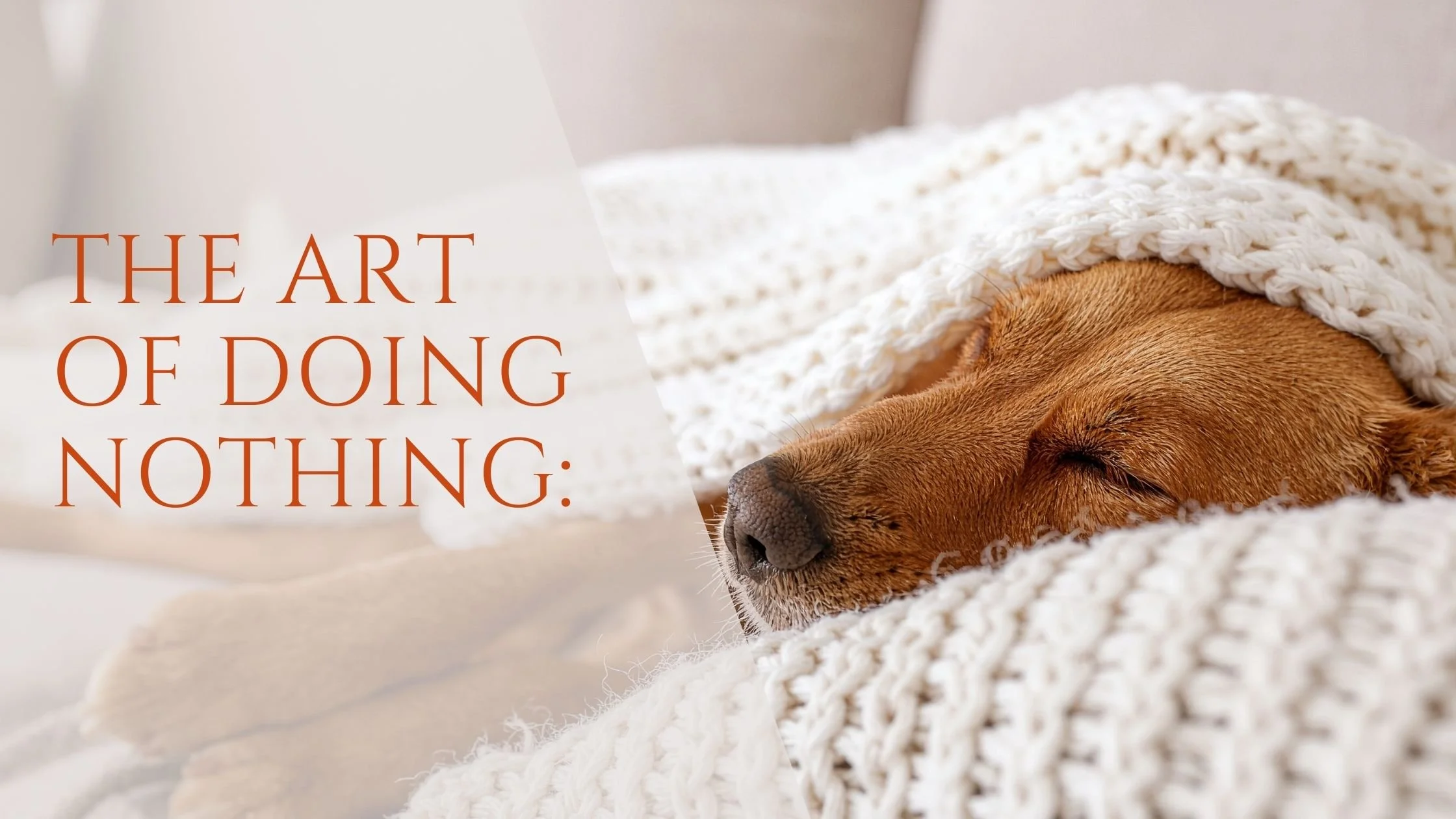 The Art of Doing Nothing