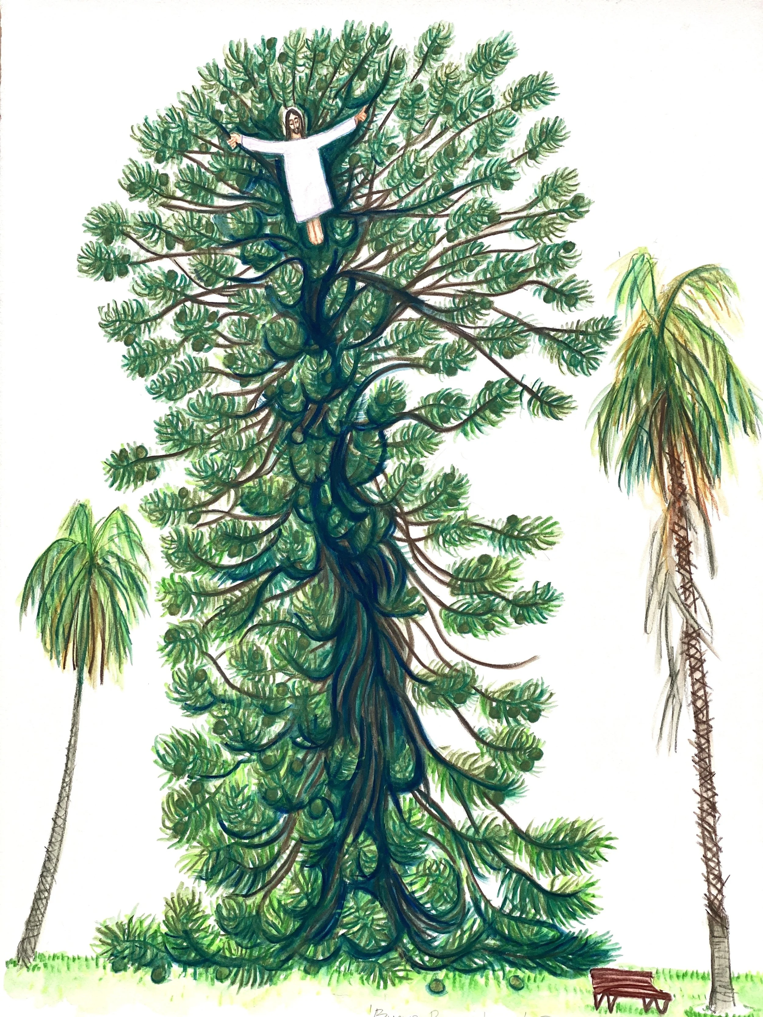 'Bunya Bunya Jesus Study', 2026, 56 x 76cm, Caran d’Ache Aquarelle Oil Pastels, brush and wash, on 640 gsm Saunders Waterford Watercolour Paper.