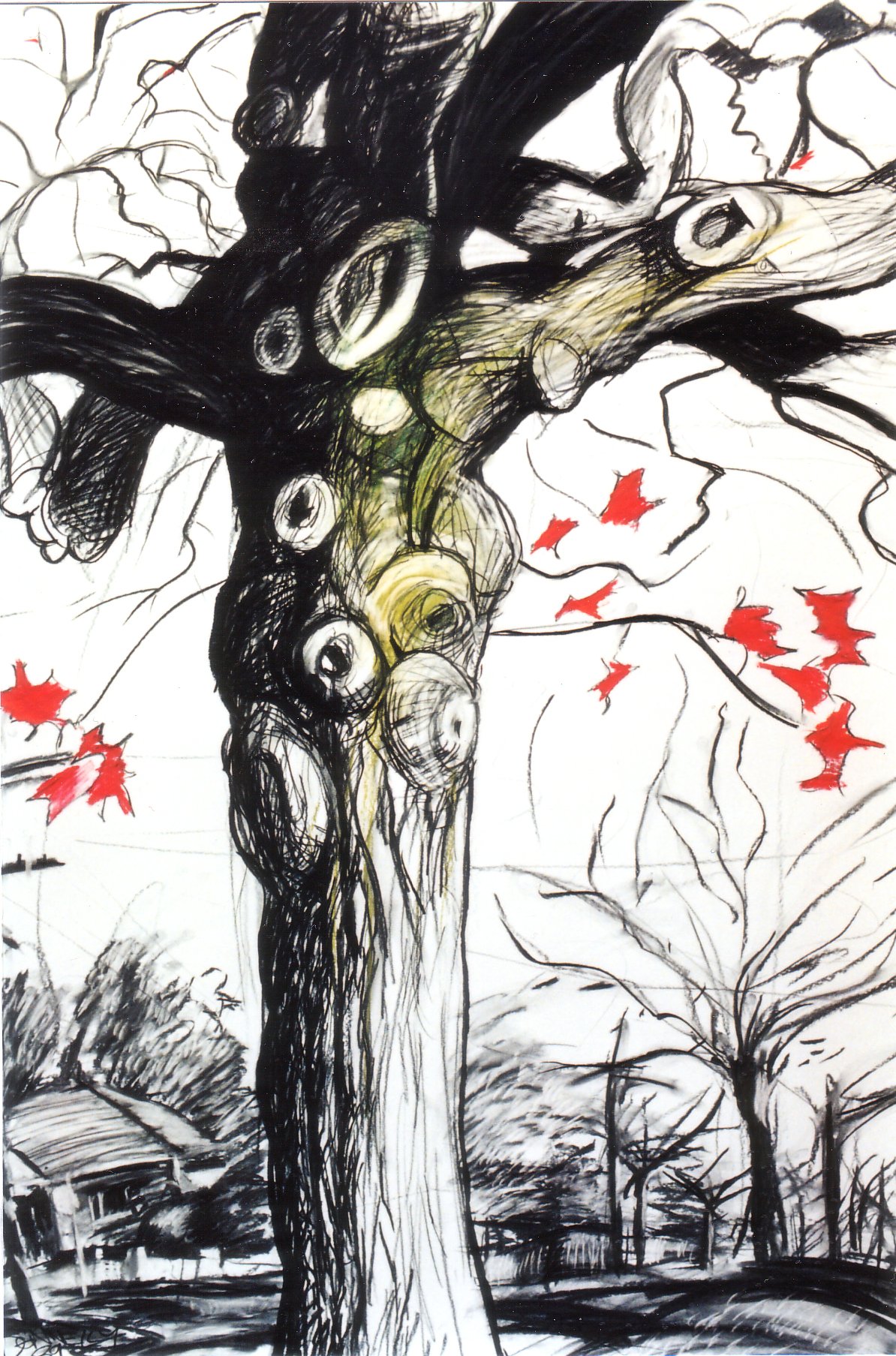 "Ashburton Plane Tree", Charcoal and Pastel on University Cartridge, 1989, (Private Collection).