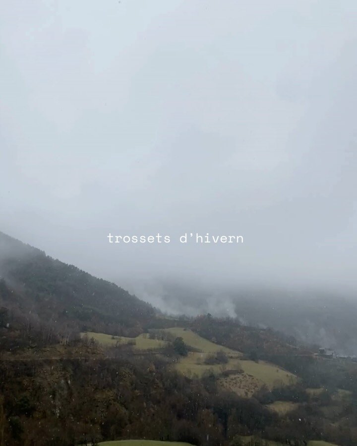 Cada dia al mateix lloc i cada dia coses diferents 🌫️

&rarr; Gargots d&rsquo;hivern