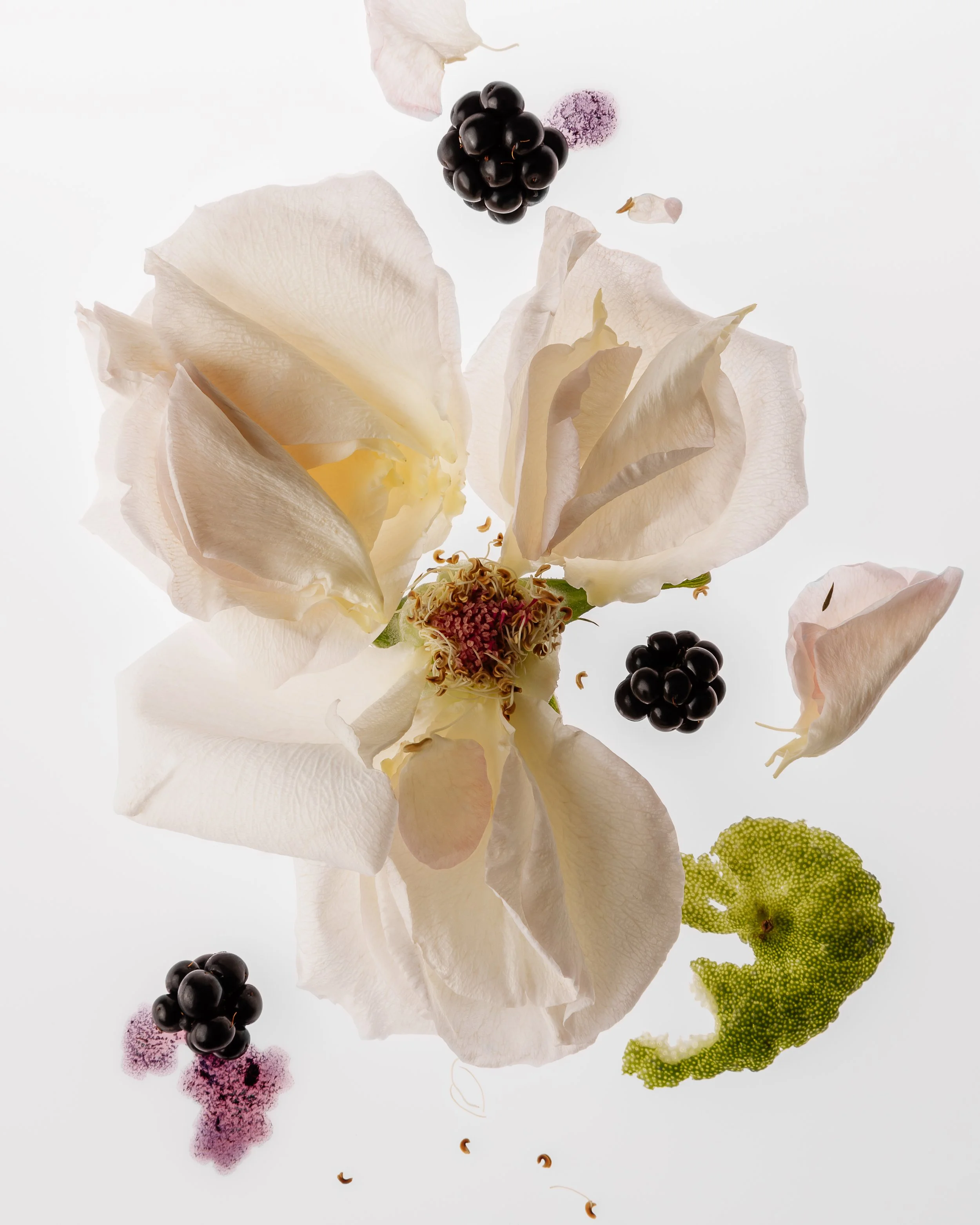 People of Eden Twenty-Two Image 2.jpg