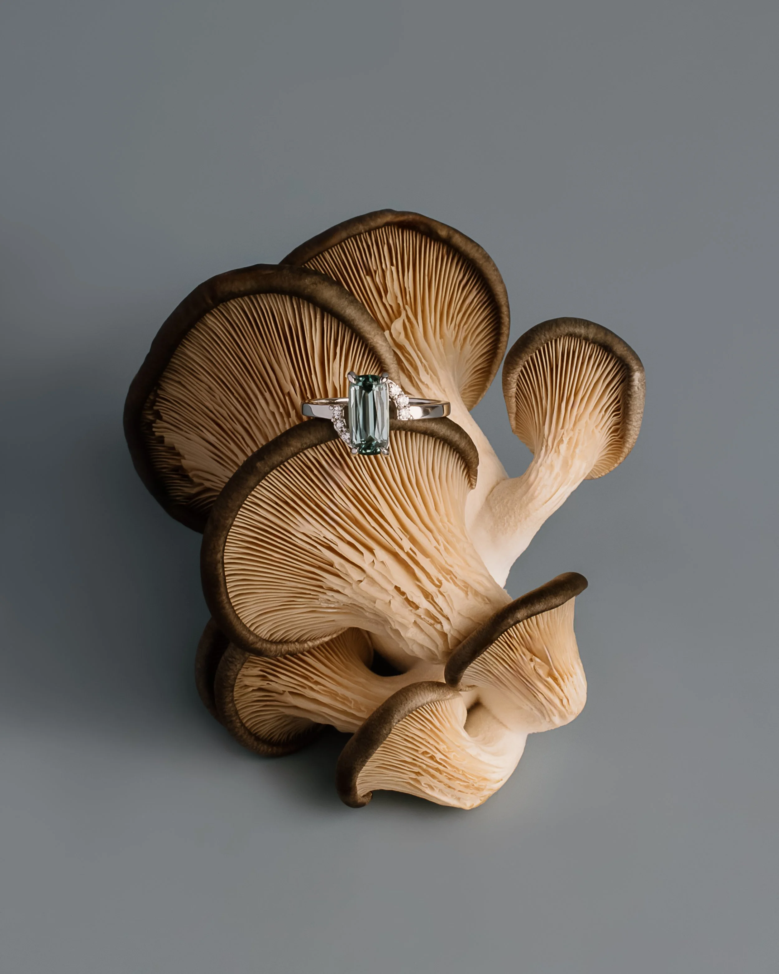 Magpiette Image 06.jpg