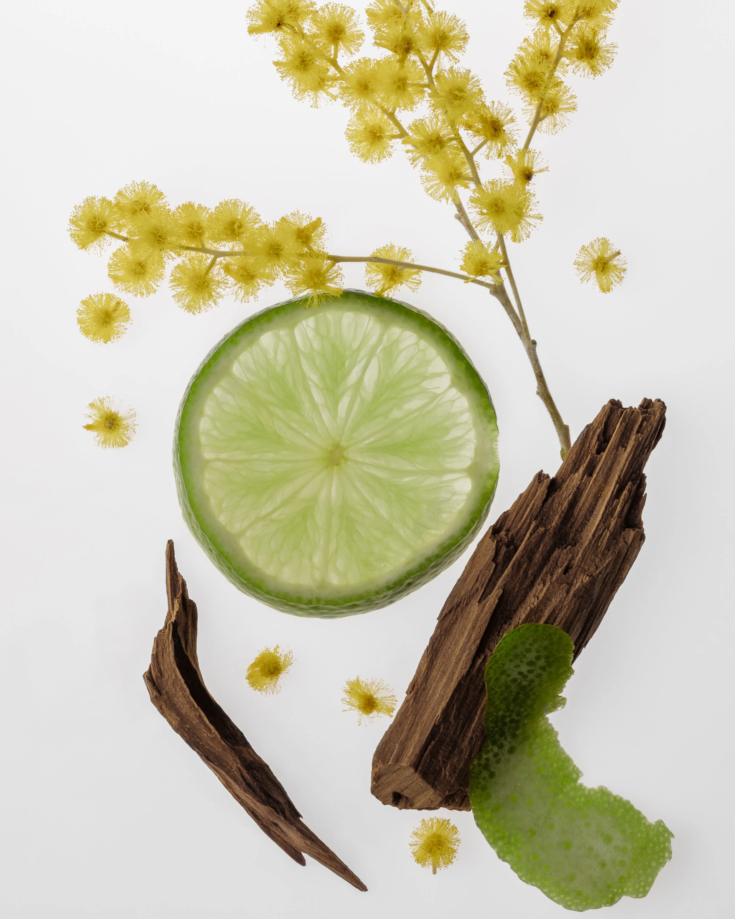 People of Eden Twenty-Two Image 1.jpg