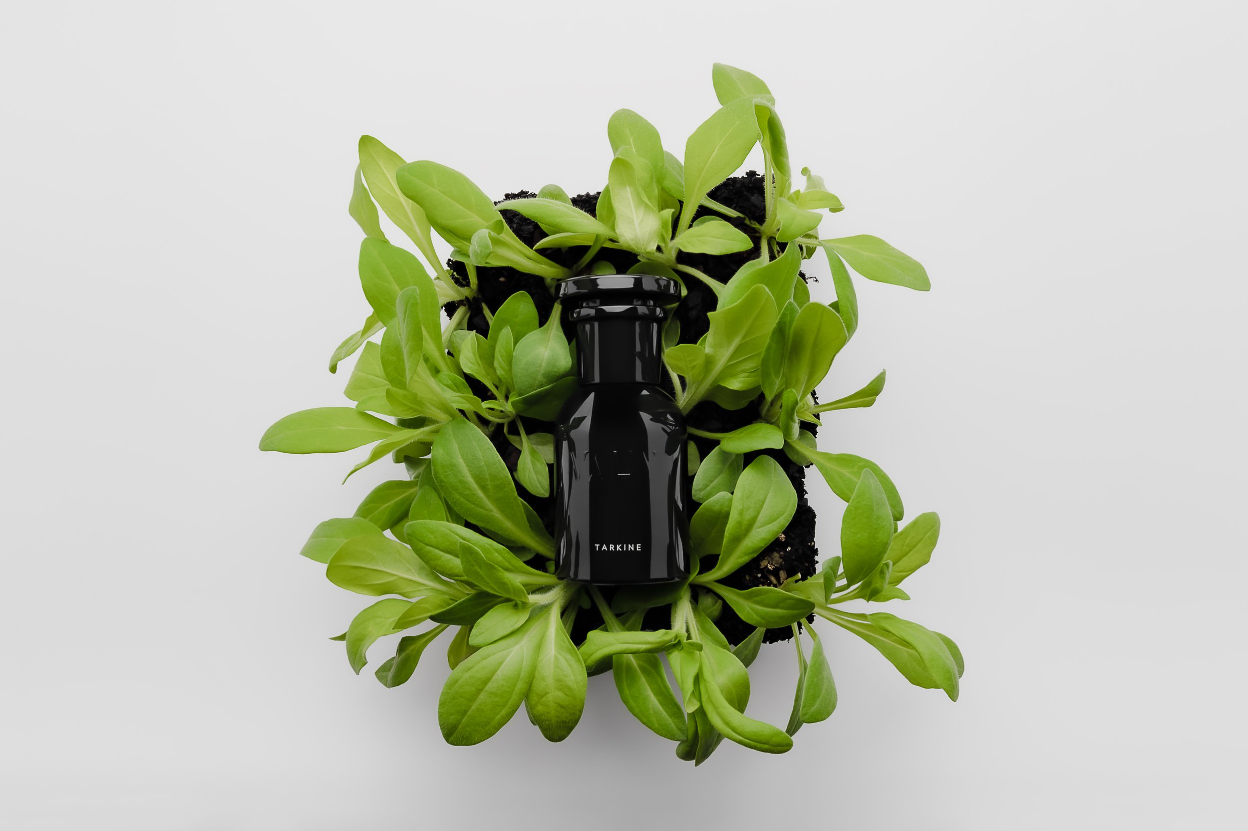 Image 16_Tarkine 50ml.jpg