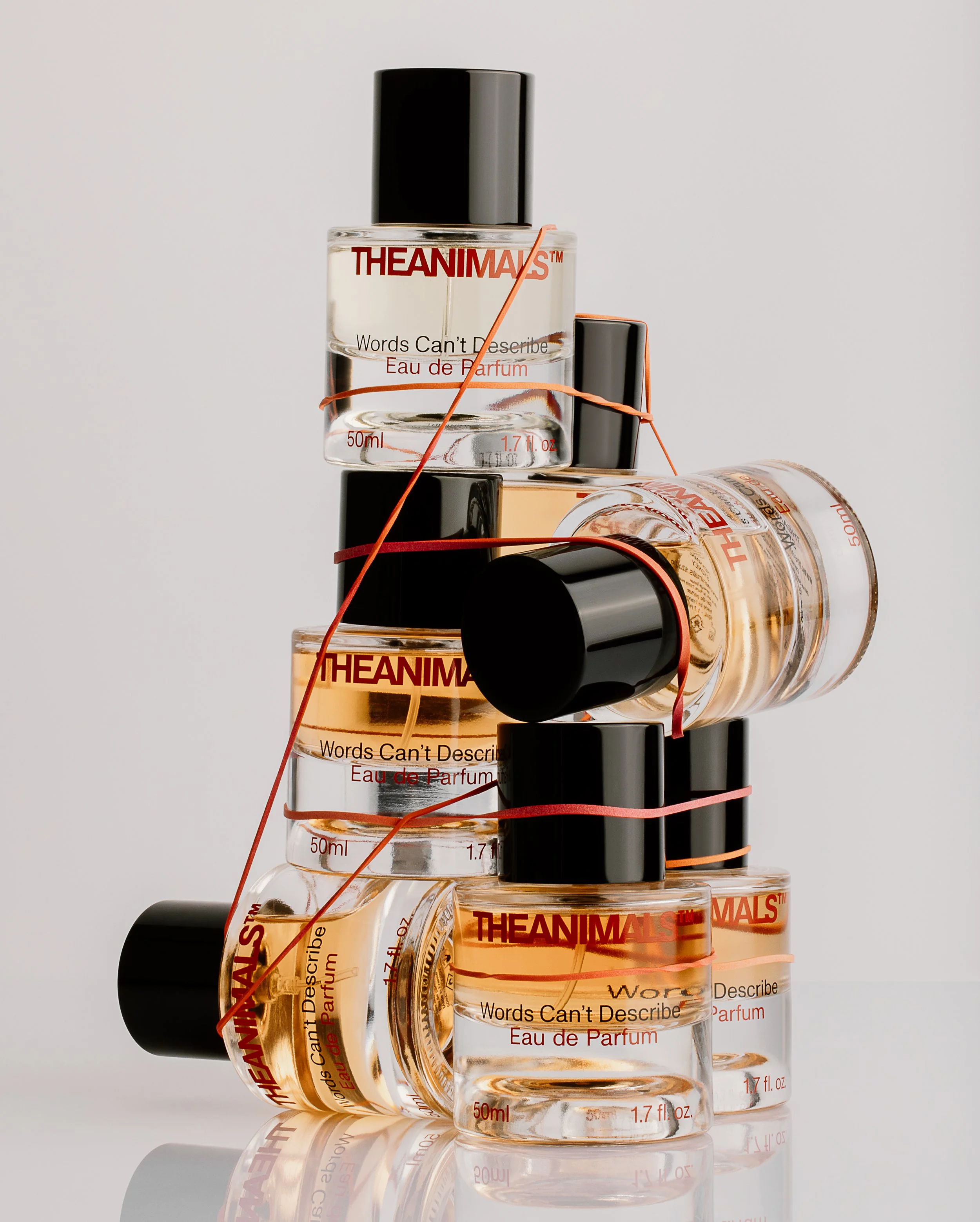 The Animals Image 04.jpg