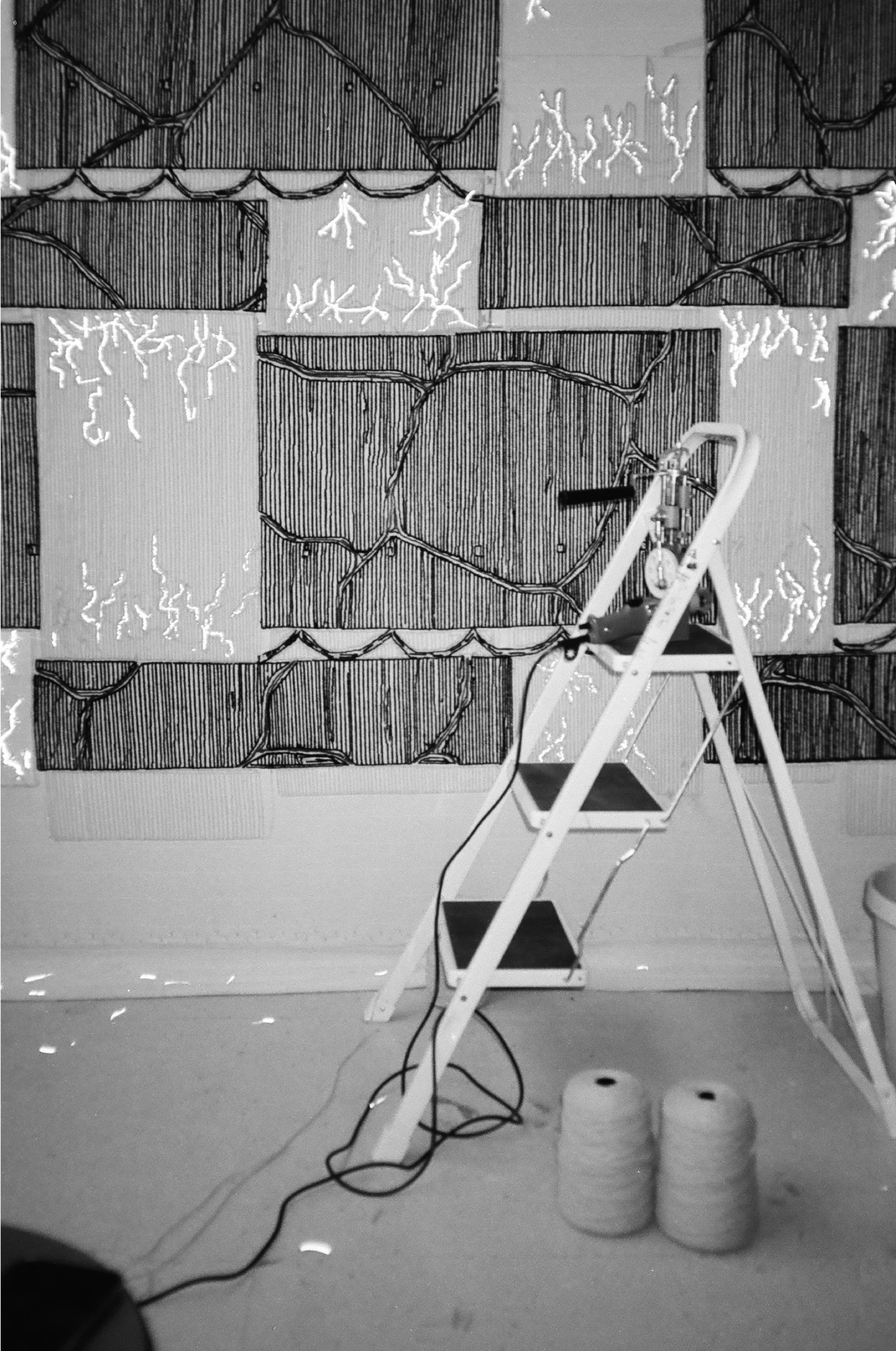 Carpet Diem Website_Leonie Bachstädter-04.jpg