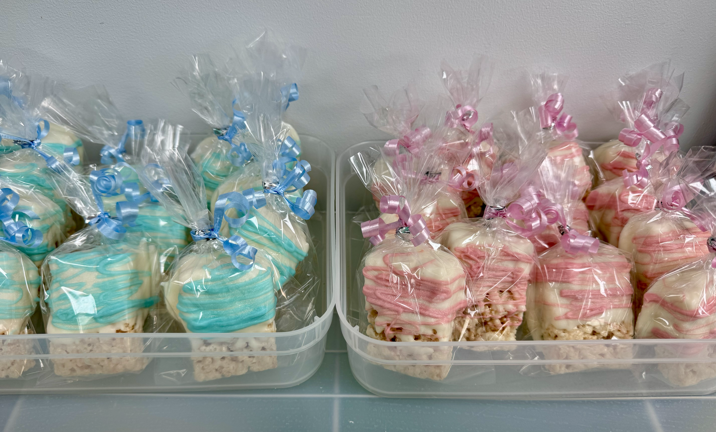 Gender Reveal Party