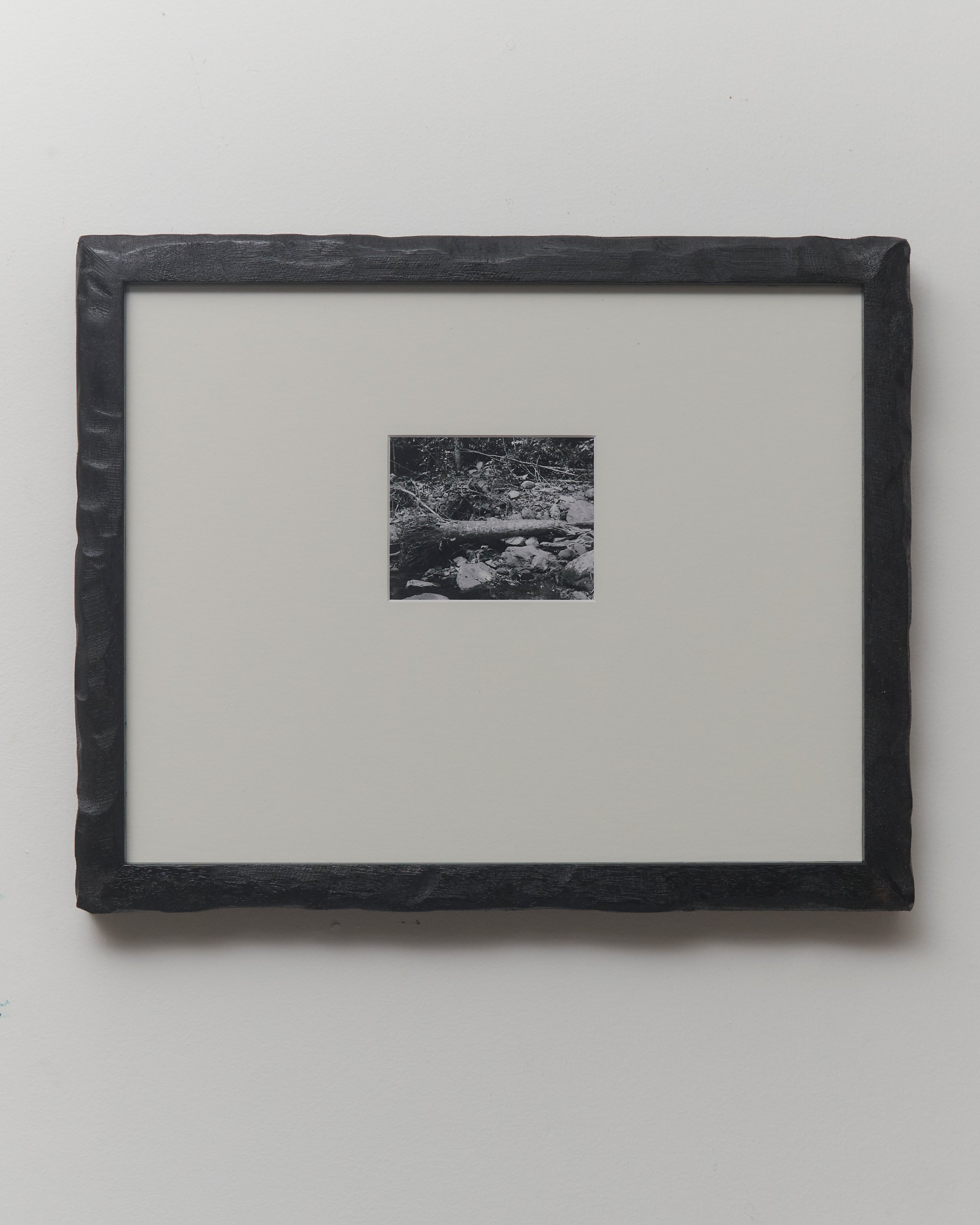 _TREES_LP_0012.jpg