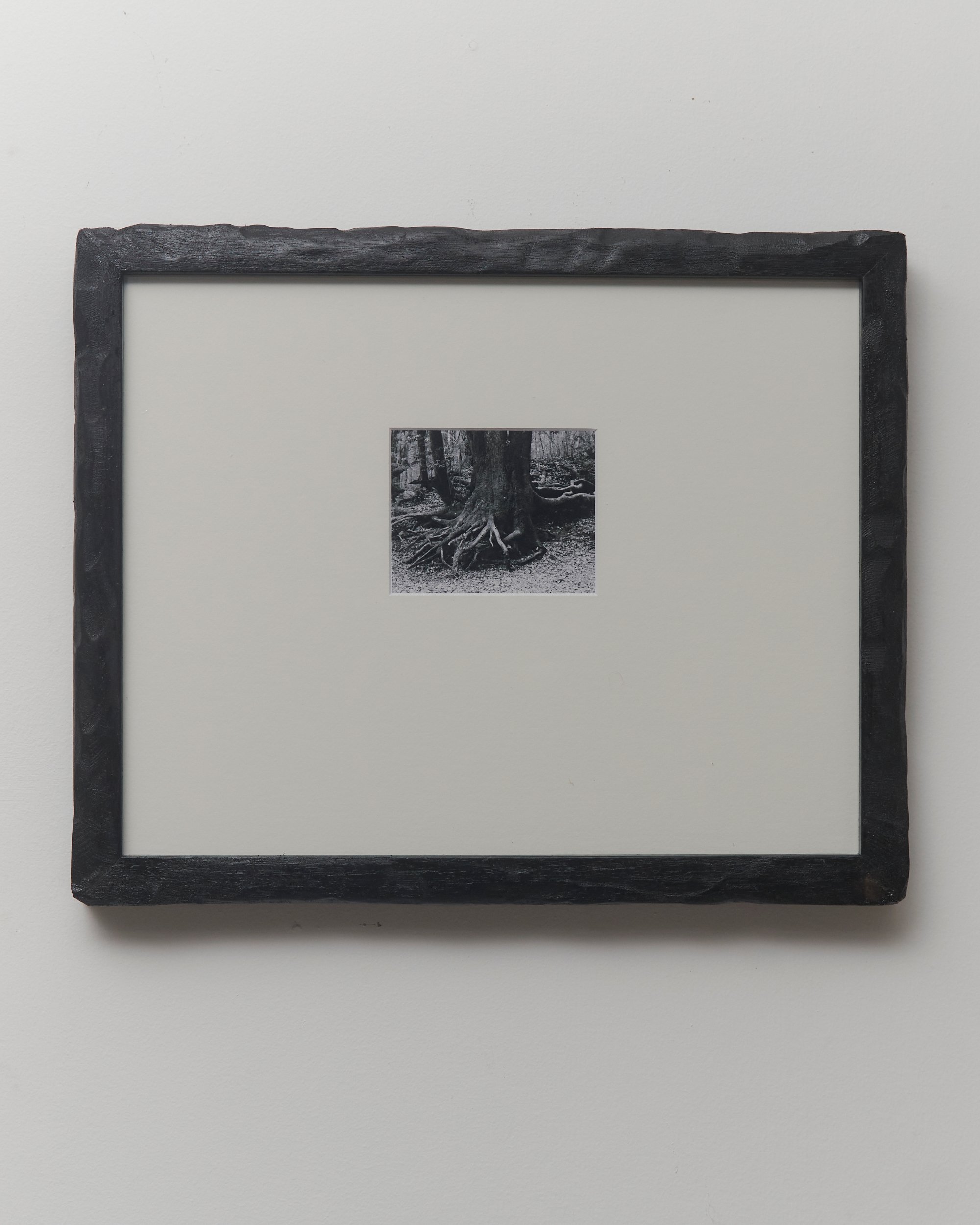 _TREES_LP_0014.jpg