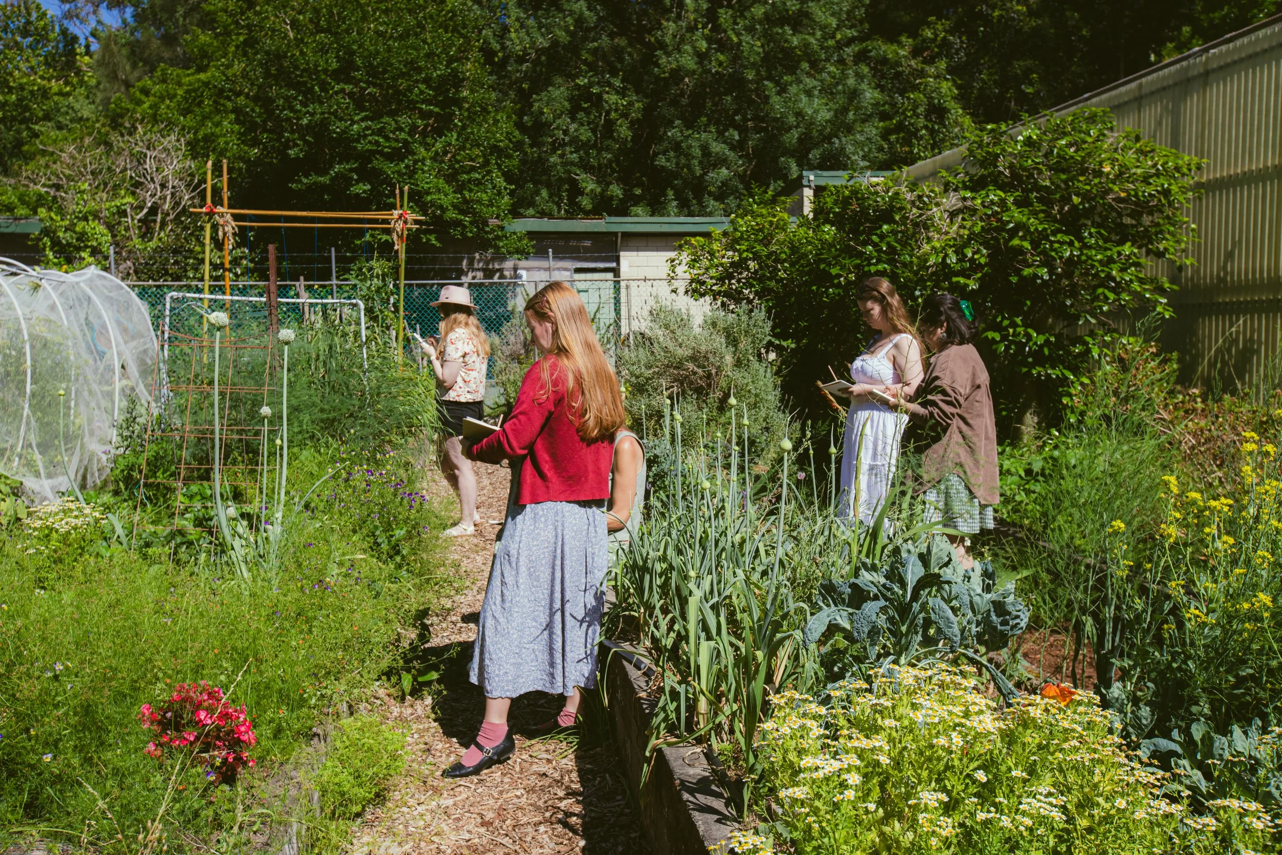 People drawing plants in a garden during daytime