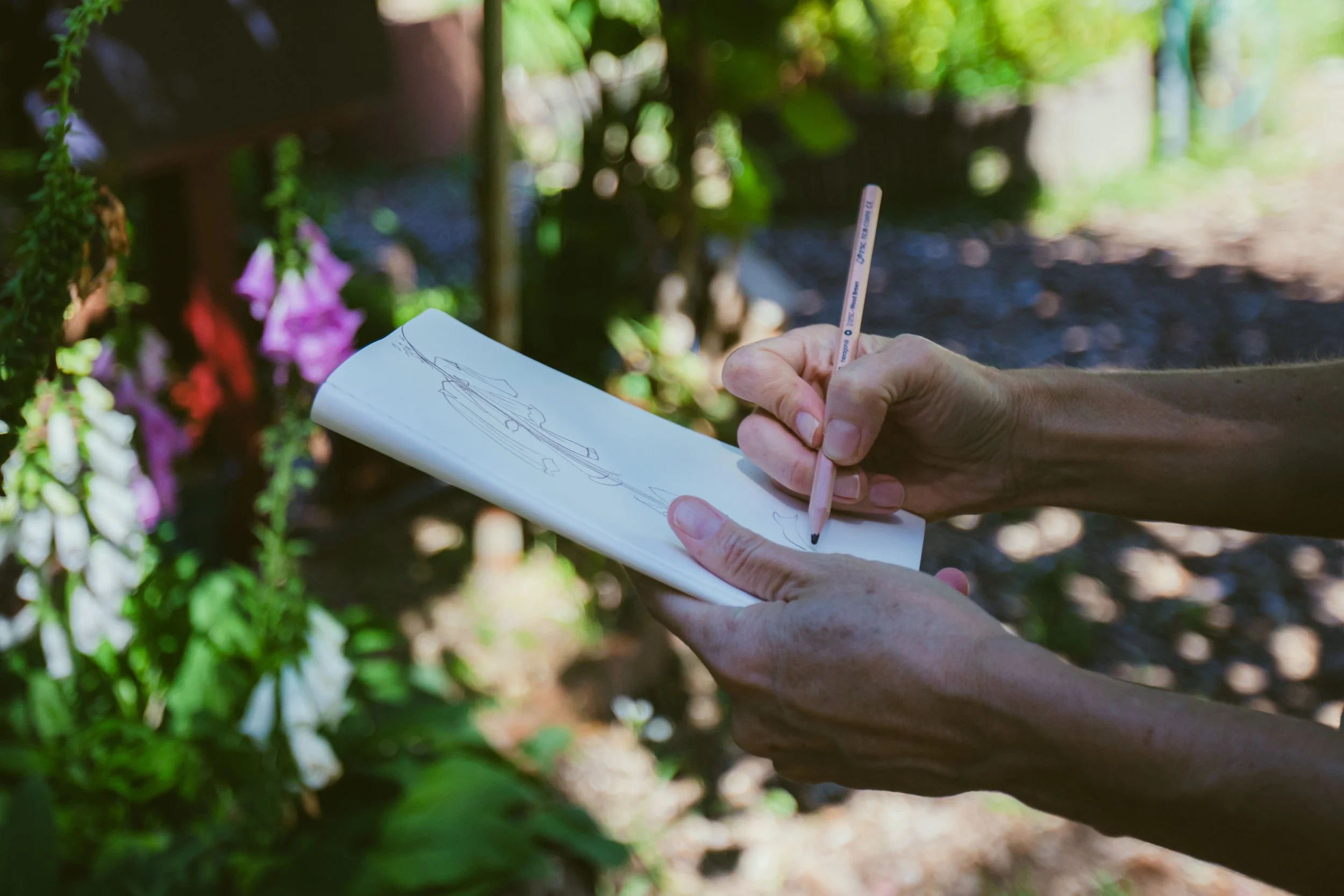 Person drawing a sketch of a flower on a notepad outdoors with lush green foliage and pink flowers in the background.