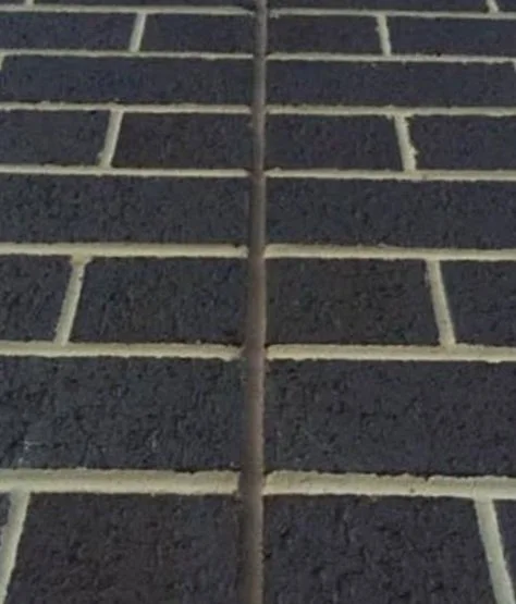 364431209_1064542384529367_7233888217805466208_n.jpg