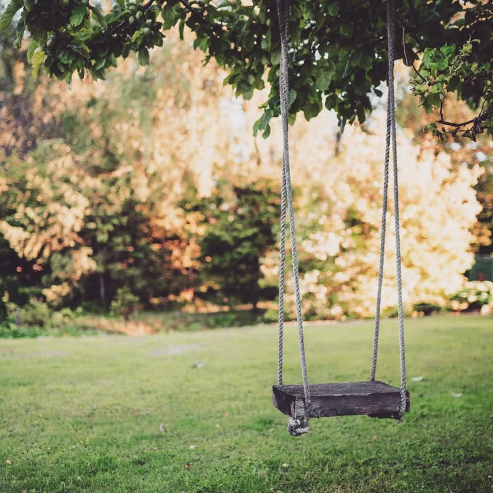 The Swing.jpg