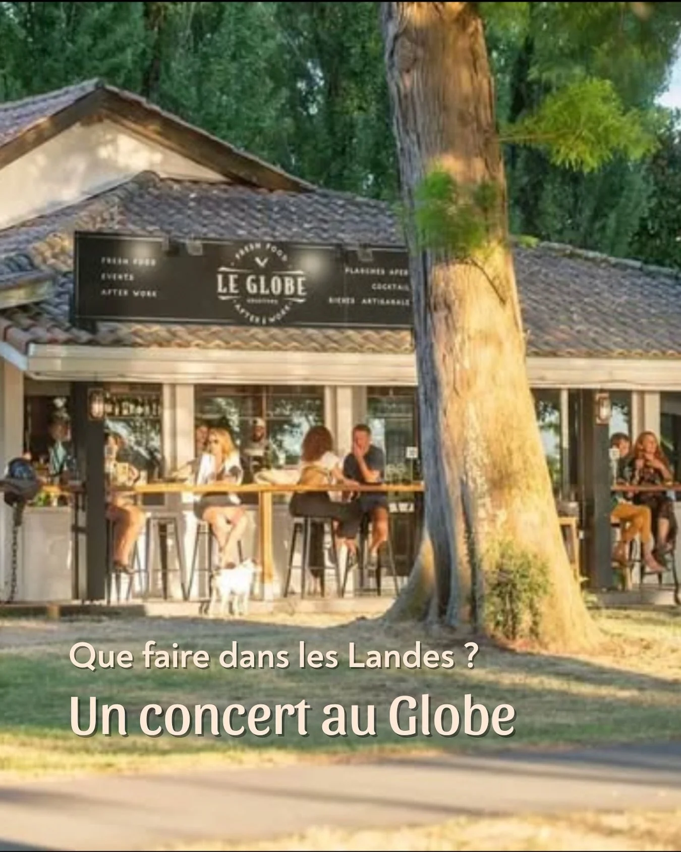 🌅 Que faire dans les Landes ?

🍹🎶 &Agrave; seulement 500 m&egrave;tres de la Villa Orgosse, on a trouv&eacute; l&rsquo;endroit parfait pour chiller, partager un verre et profiter d&rsquo;un cadre magique : bienvenue &agrave; @leglobesoustons !

👉