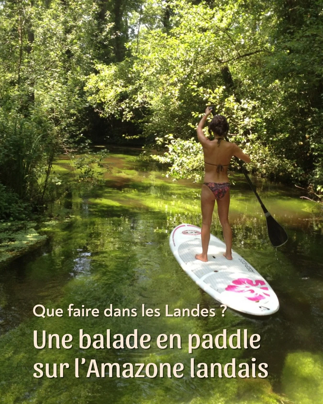 ☀️ Que faire dans les Landes ?
Entre for&ecirc;t, lac et oc&eacute;an&hellip; il y a mille fa&ccedil;ons de (re)d&eacute;couvrir ce territoire magique.

Notre coup de c&oelig;ur local : SUP Landes, qui propose des balades en stand up paddle insolites