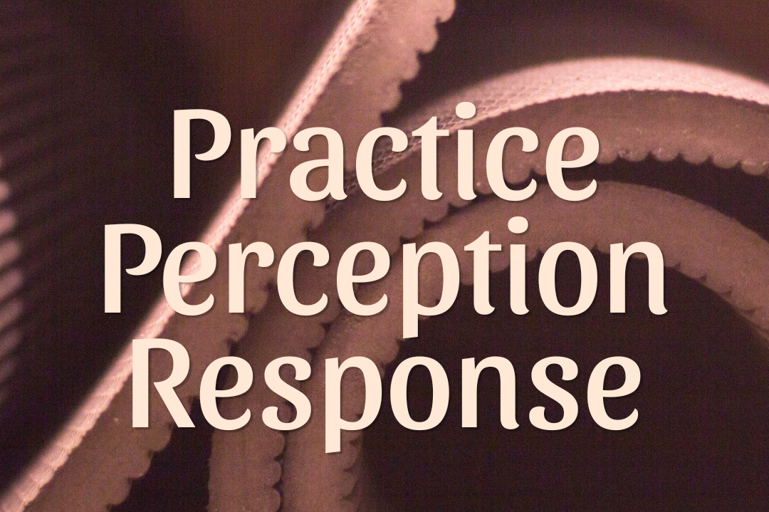 Practice Perception Response