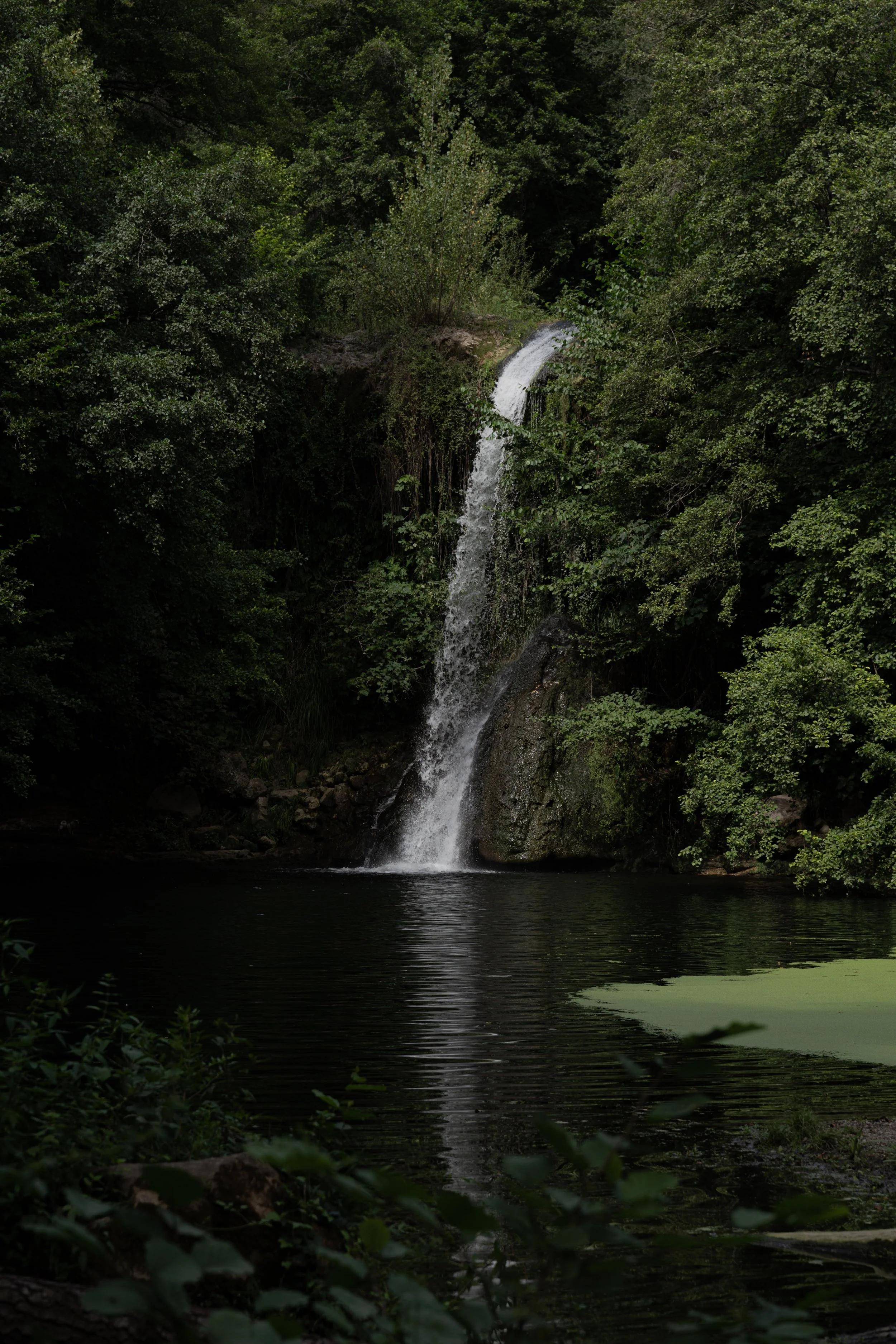 09092024-_DSC6267.JPG