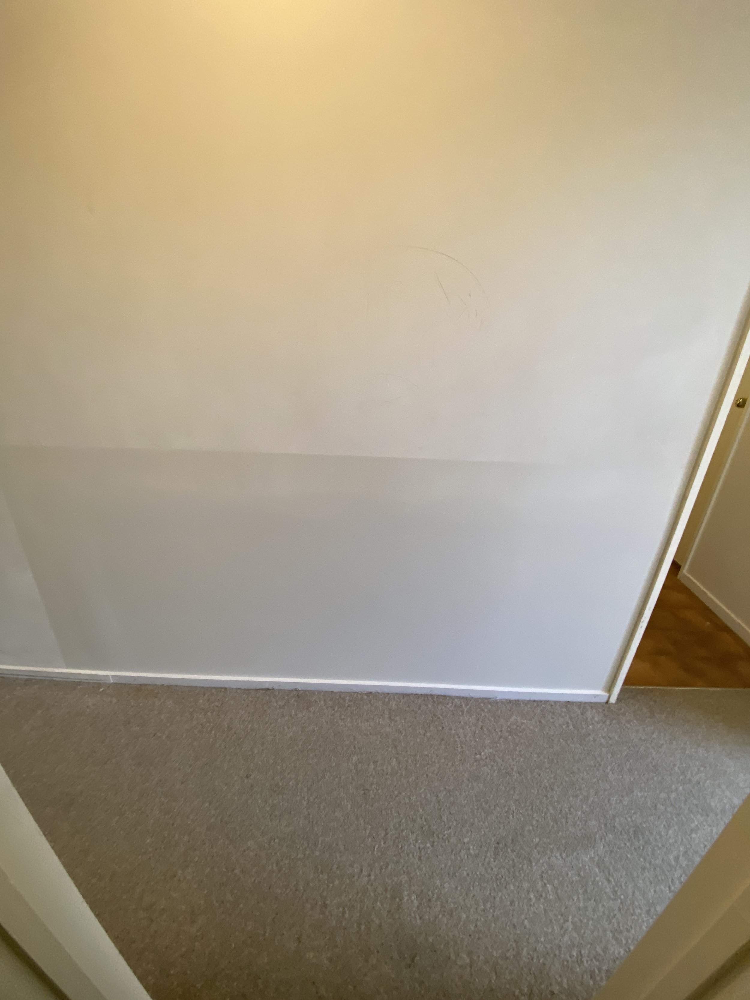 Wall repair following leak damage in Auckland property