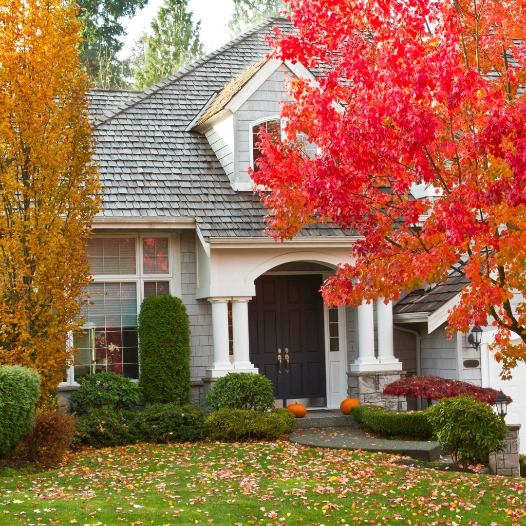 The Areas of Your Property Most at Risk During Autumn (And How to Protect Them)