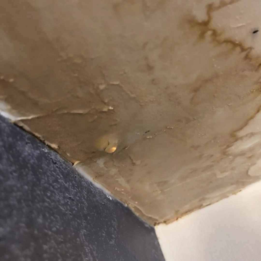 How Micro Cracks, UV Damage, and Capillary Action Lead to Hidden Water Damage