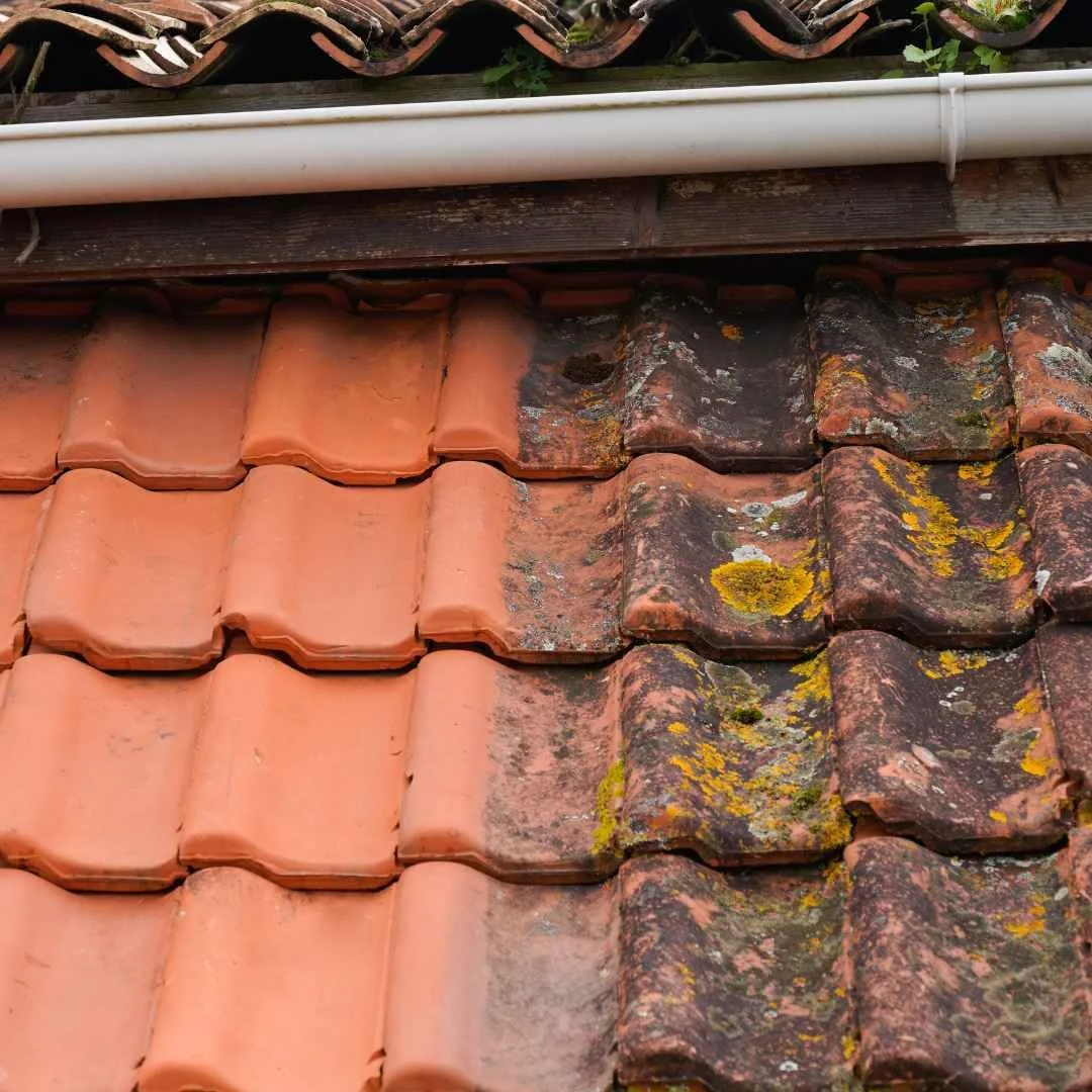 Roof side by side showing with and without treatment