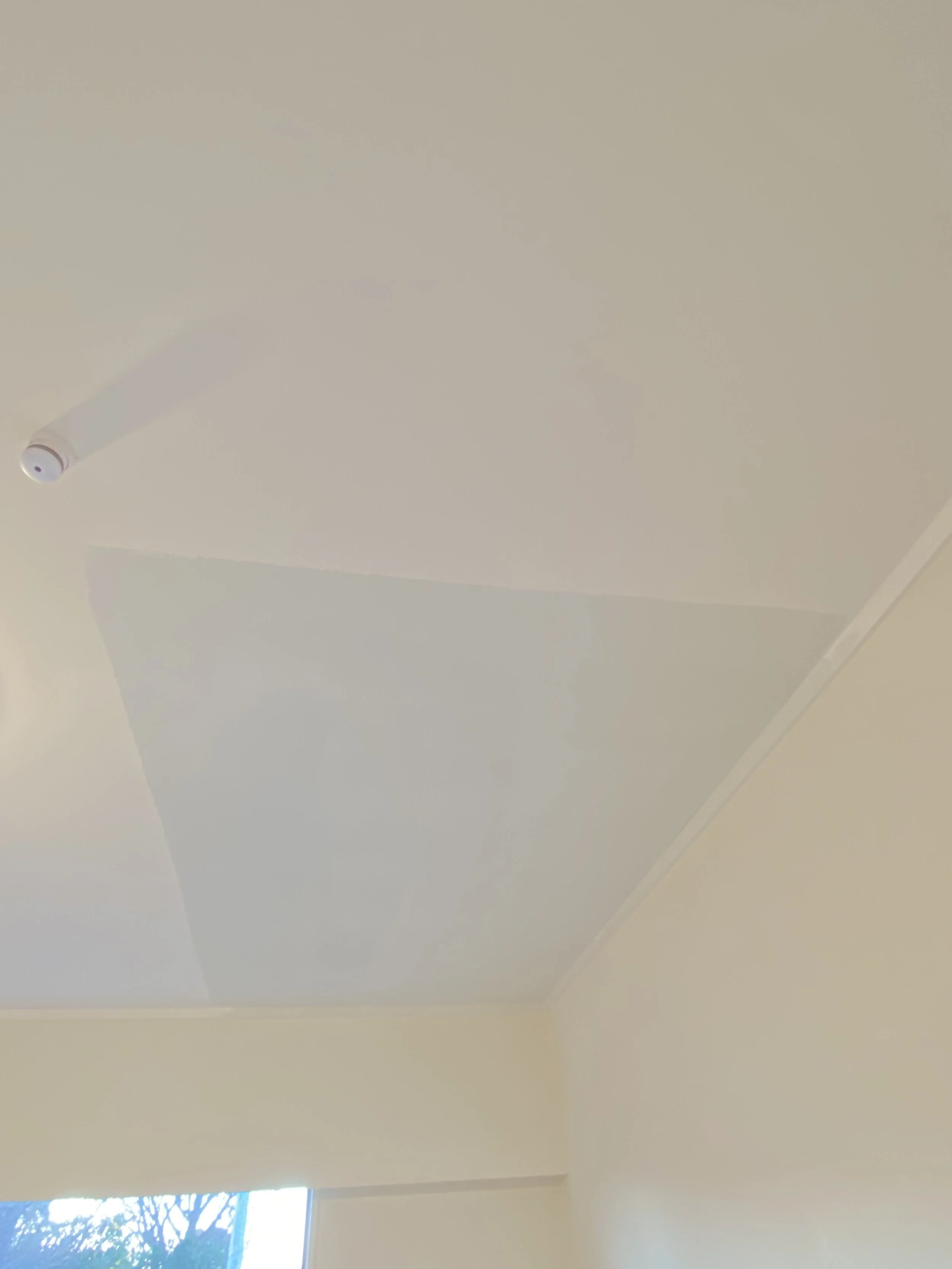 Ceiling re-gib and repaint completed in Auckland by DCW Services