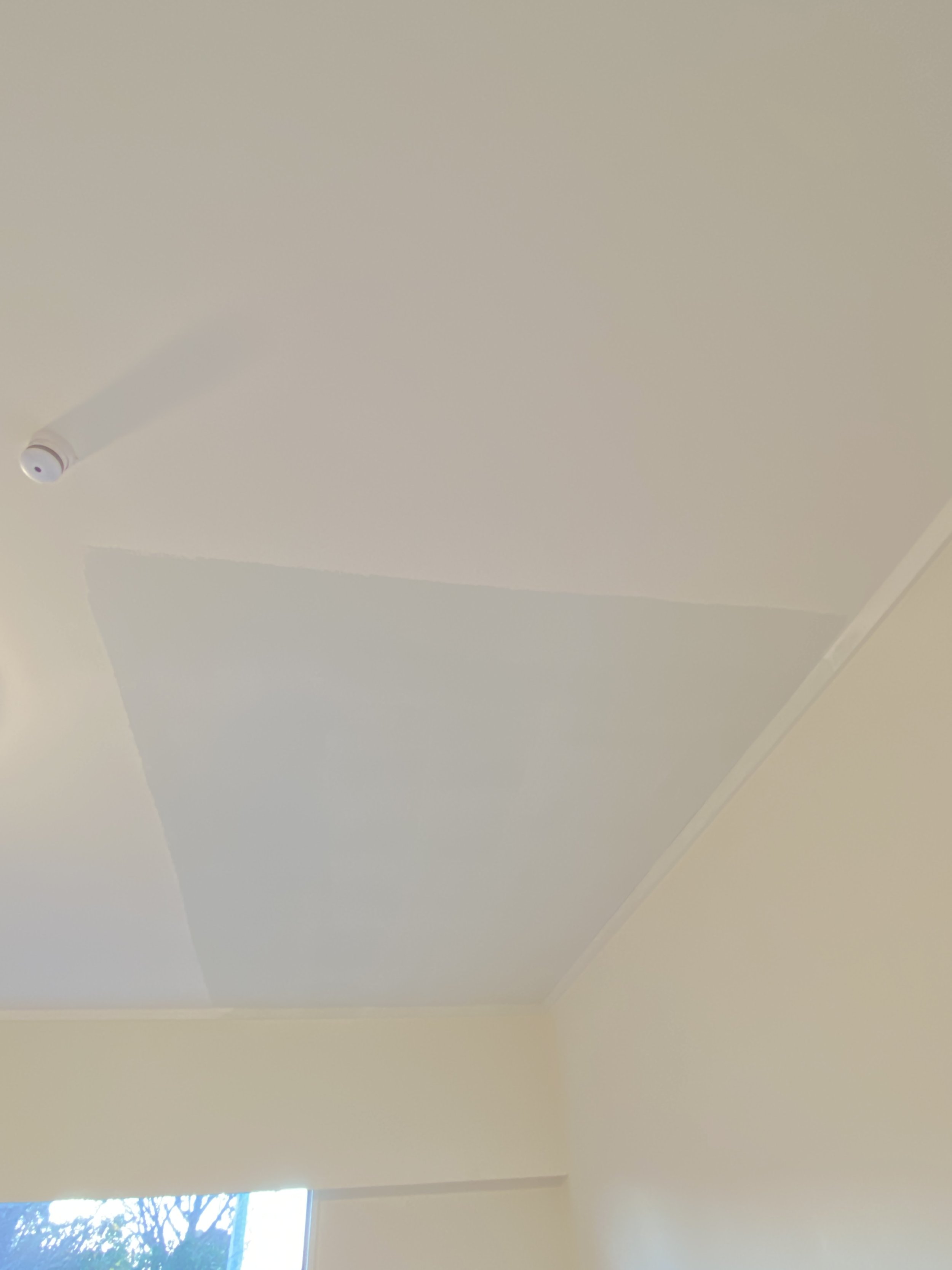 Ceiling repair completed after leak damage in Auckland property