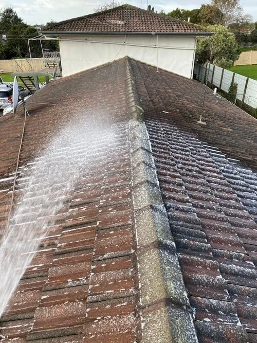 Roof treatment solution being applied to an Auckland home's roof by DCW Services