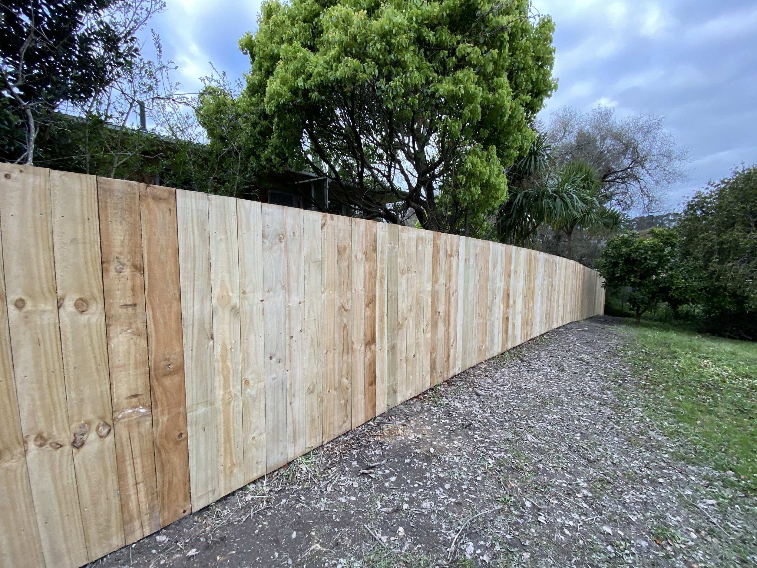 New timber fence installation completed in Sunnynook Auckland by DCW Services