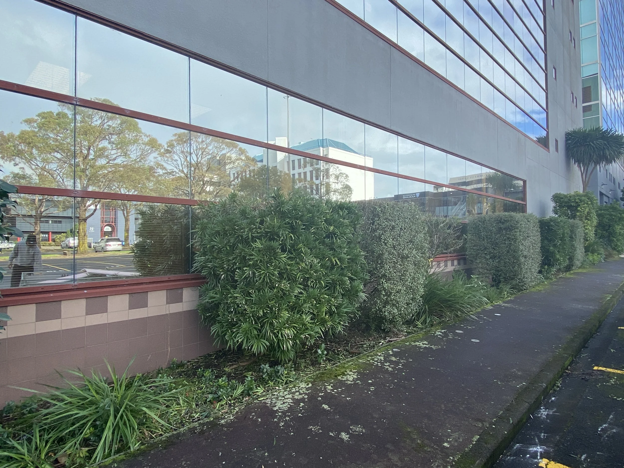 Garden maintenance and trimming completed for commercial office in Manukau