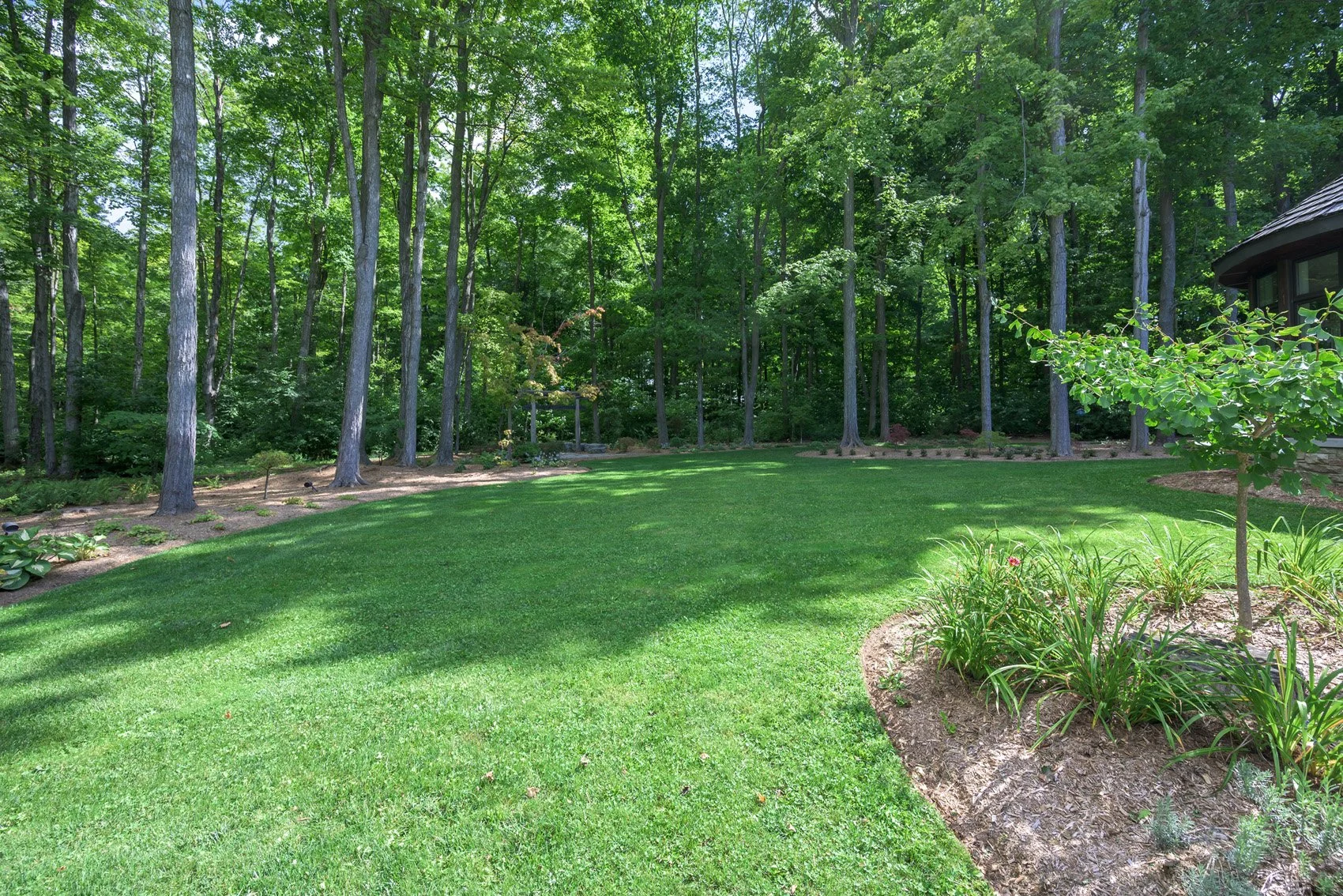 3668-homewood-web-225.jpg