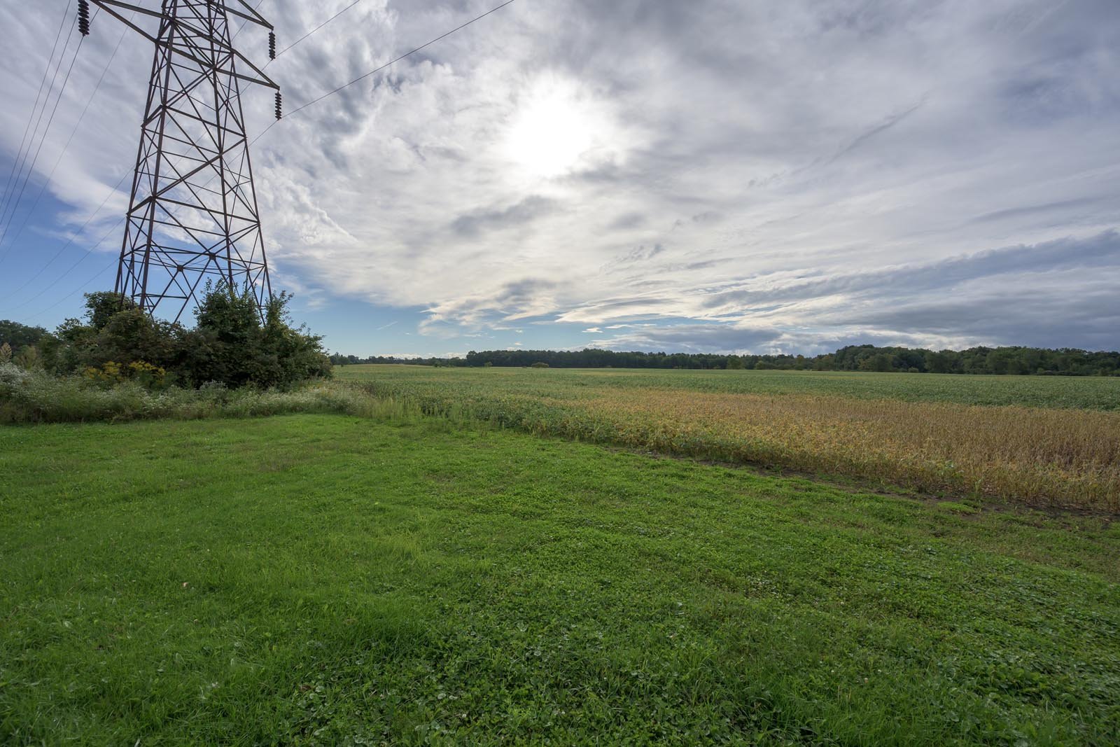 282-marsh-110.jpg