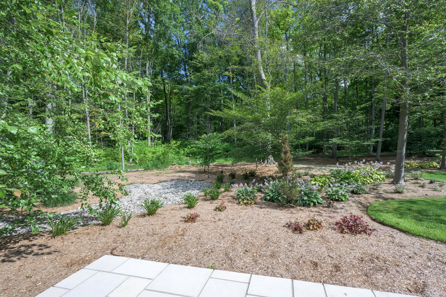 3668-homewood-web-226.jpg