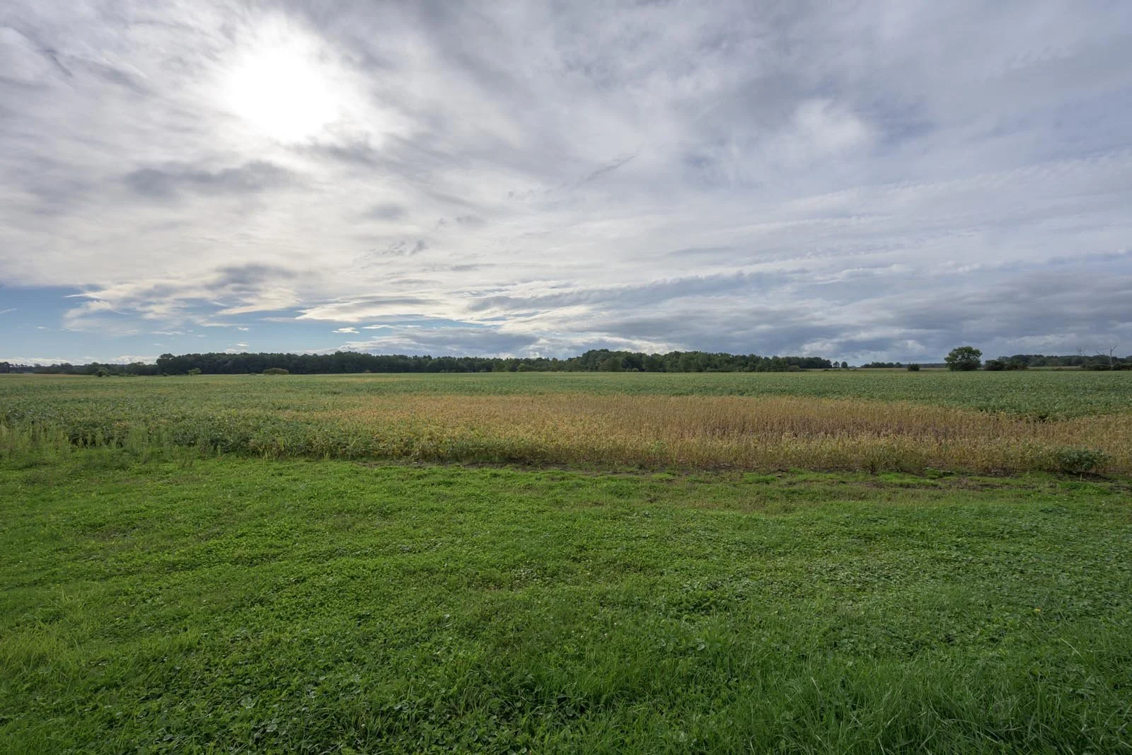 282-marsh-109.jpg